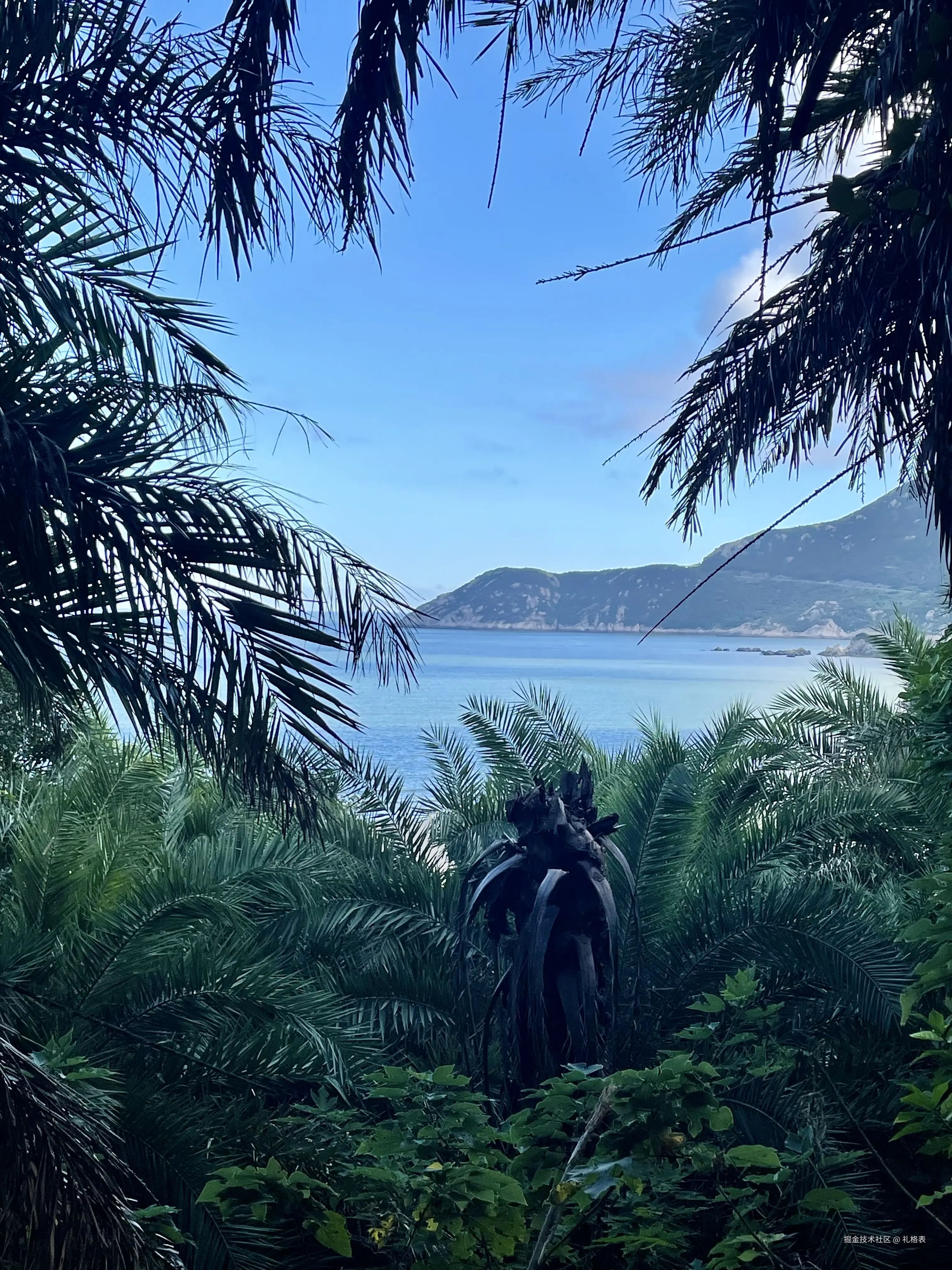 礼格表于2025-09-04 15:26发布的图片