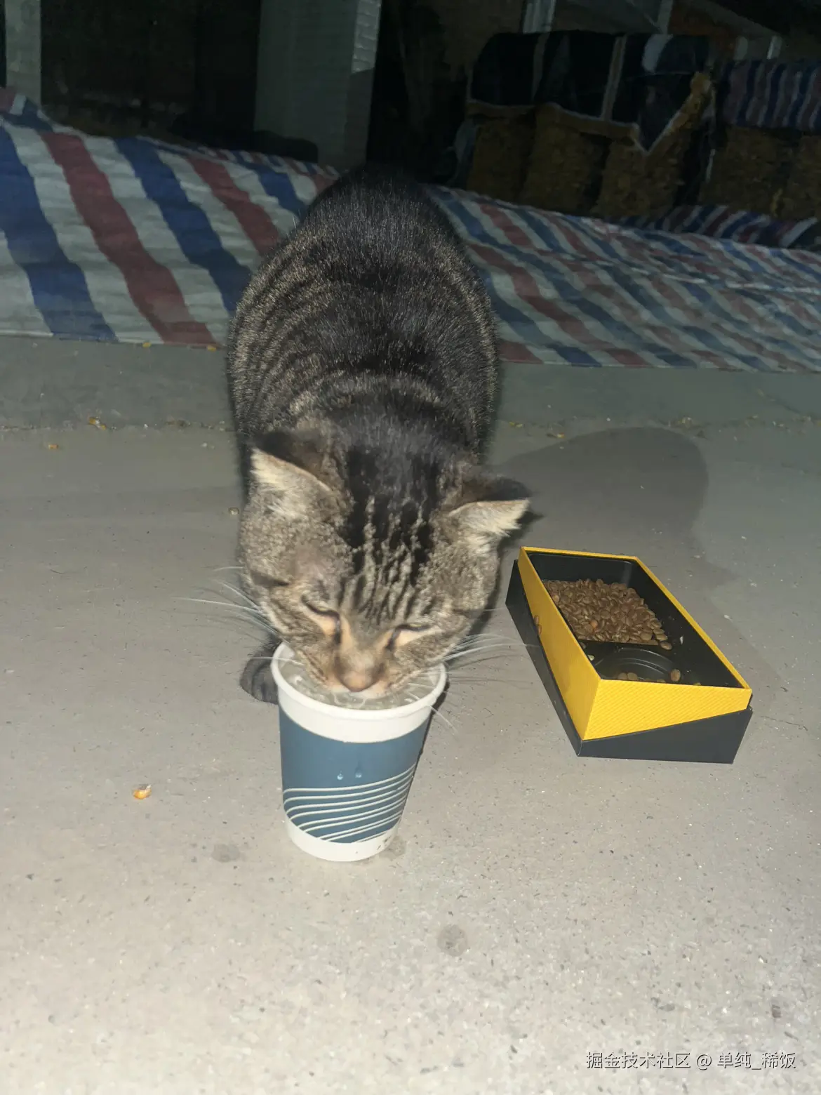 单纯_稀饭于2025-10-31 18:19发布的图片