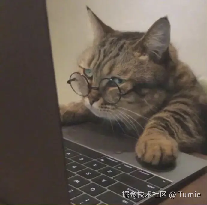 Tumie于2024-08-15 17:58发布的图片