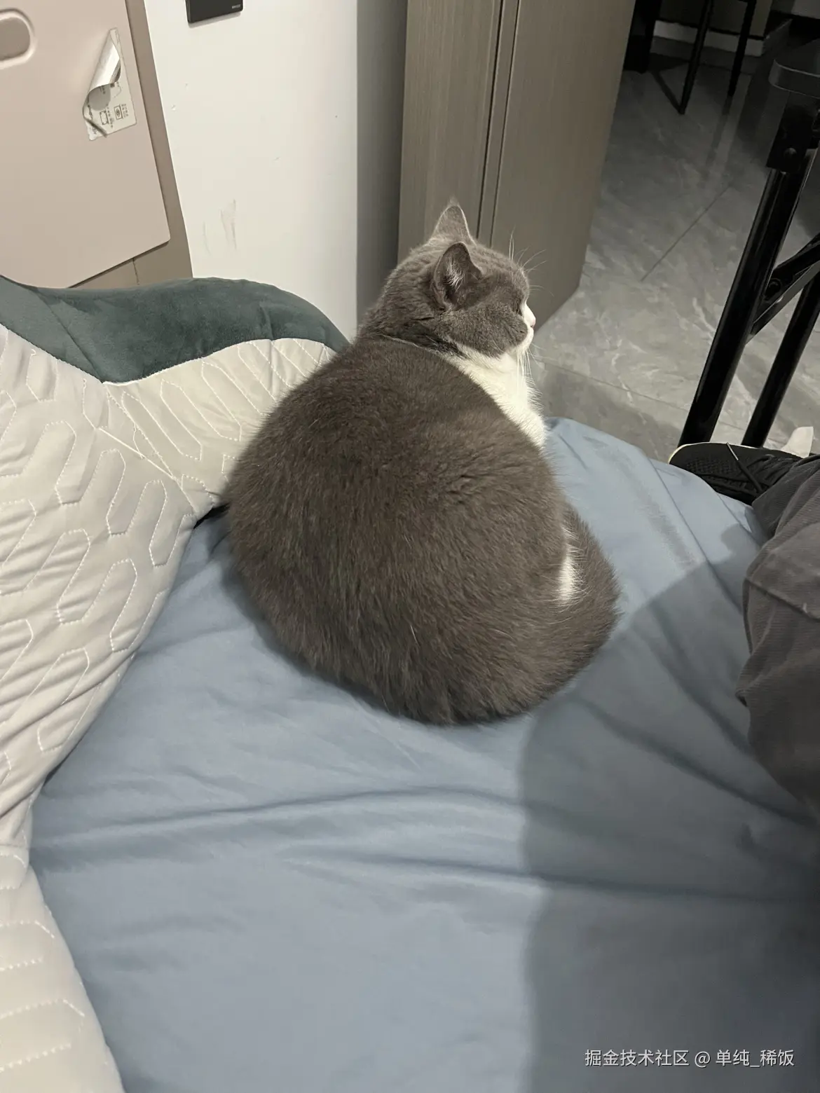 单纯_稀饭于2024-11-27 08:35发布的图片