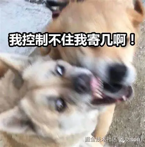 Dillon于2024-07-22 10:46发布的图片