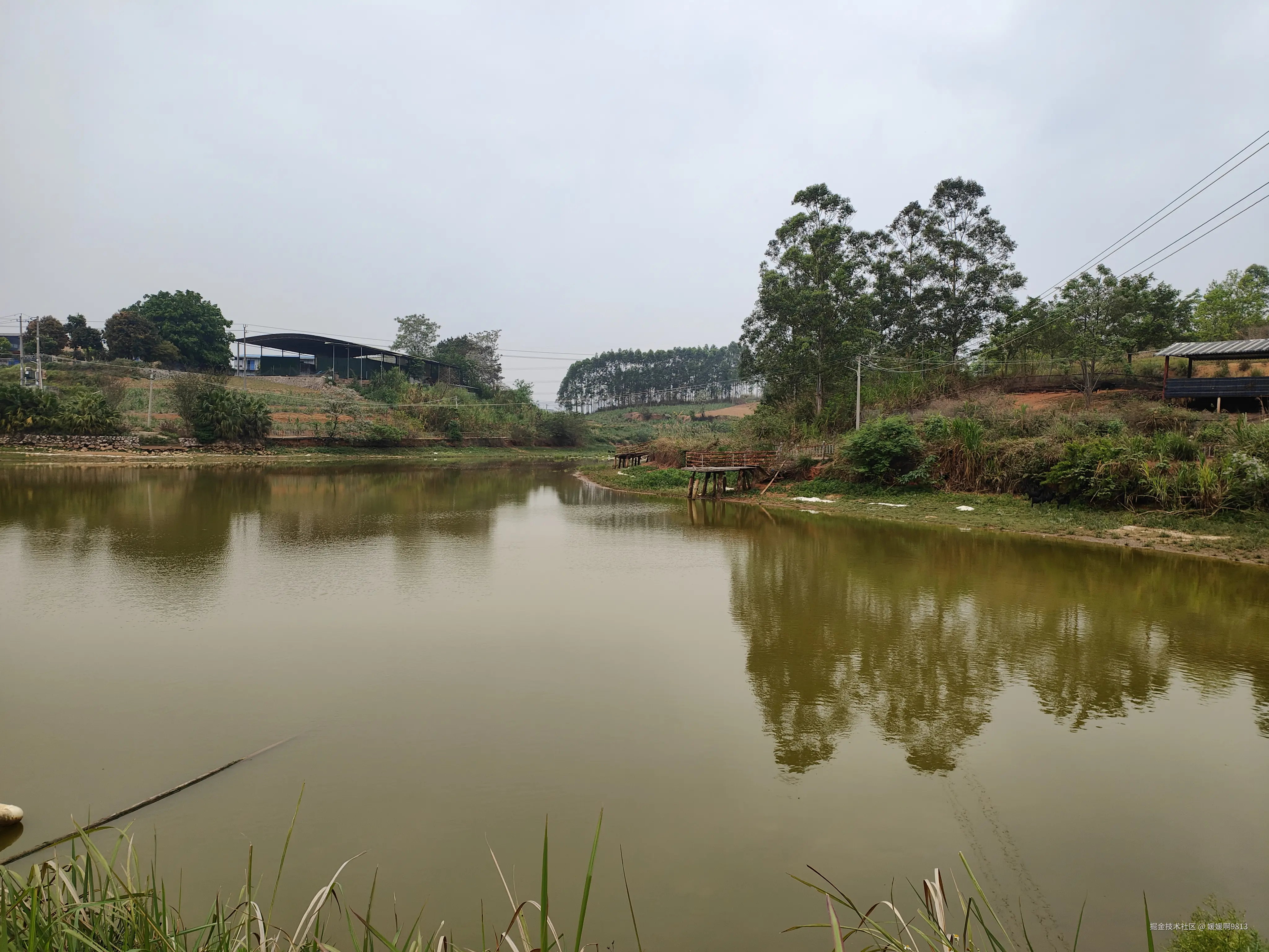 媛媛啊9813于2026-03-28 19:57发布的图片