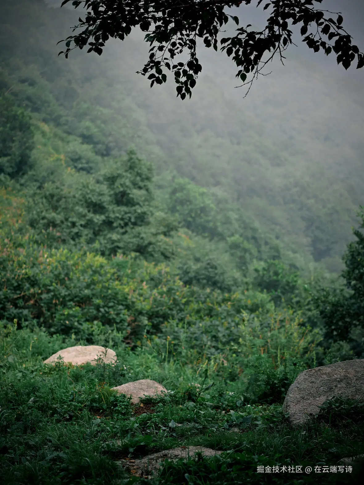 在云端写诗于2025-08-04 10:49发布的图片