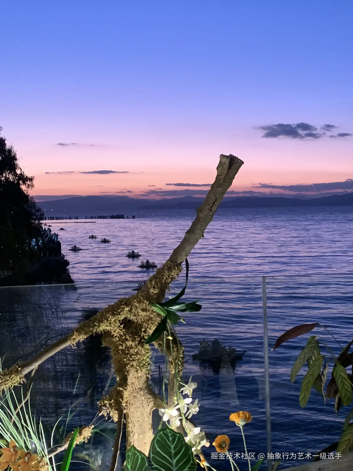 抽象行为艺术一级选手于2026-01-05 10:22发布的图片