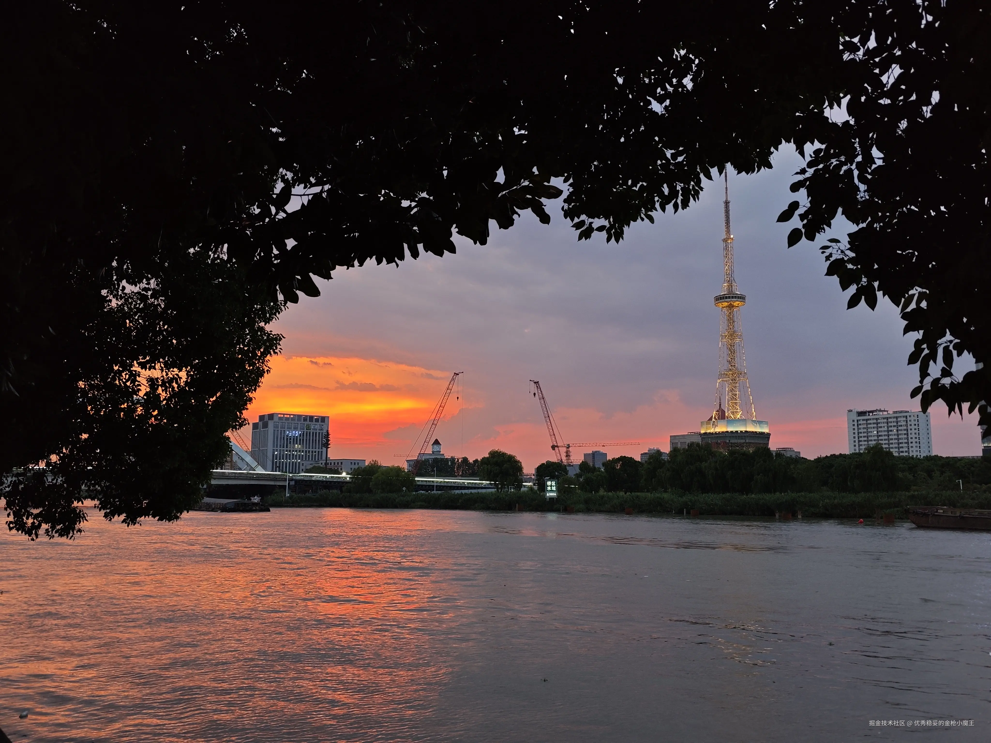 优秀稳妥的金枪小魔王于2025-08-21 11:18发布的图片