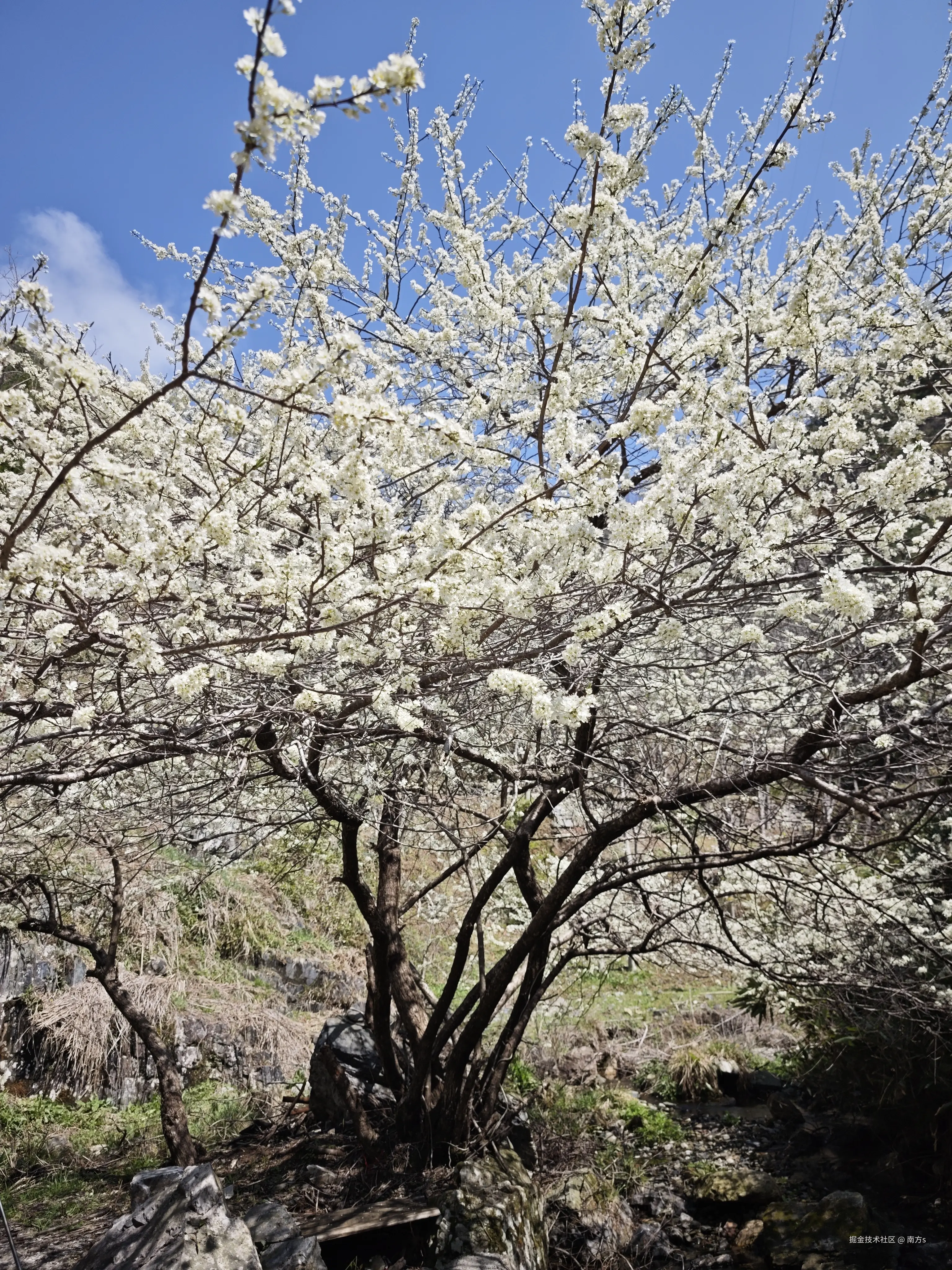 南方s于2026-03-30 10:38发布的图片