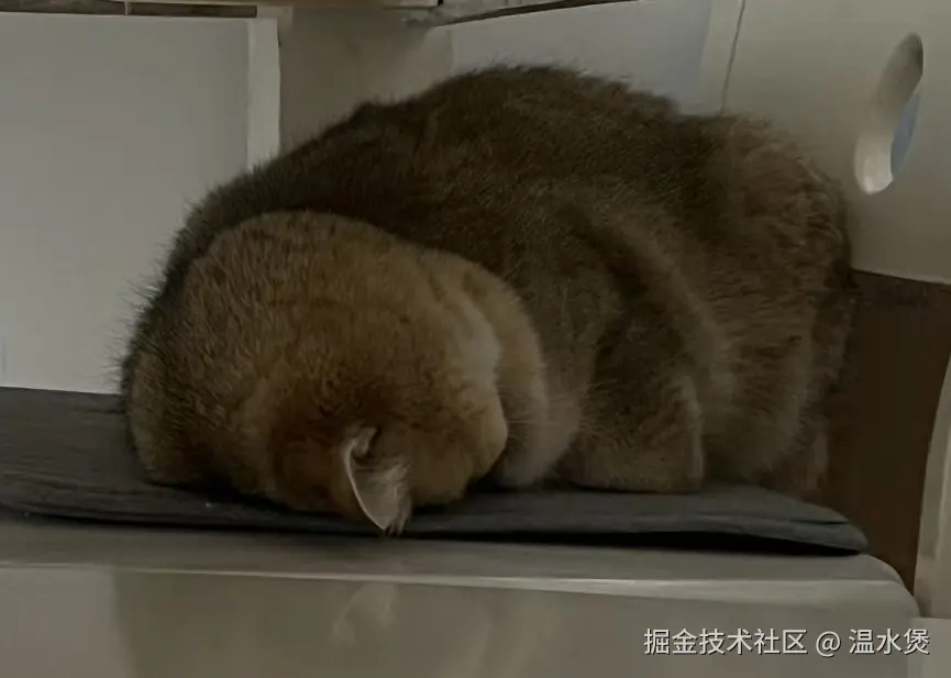 温水煲于2026-01-21 10:47发布的图片