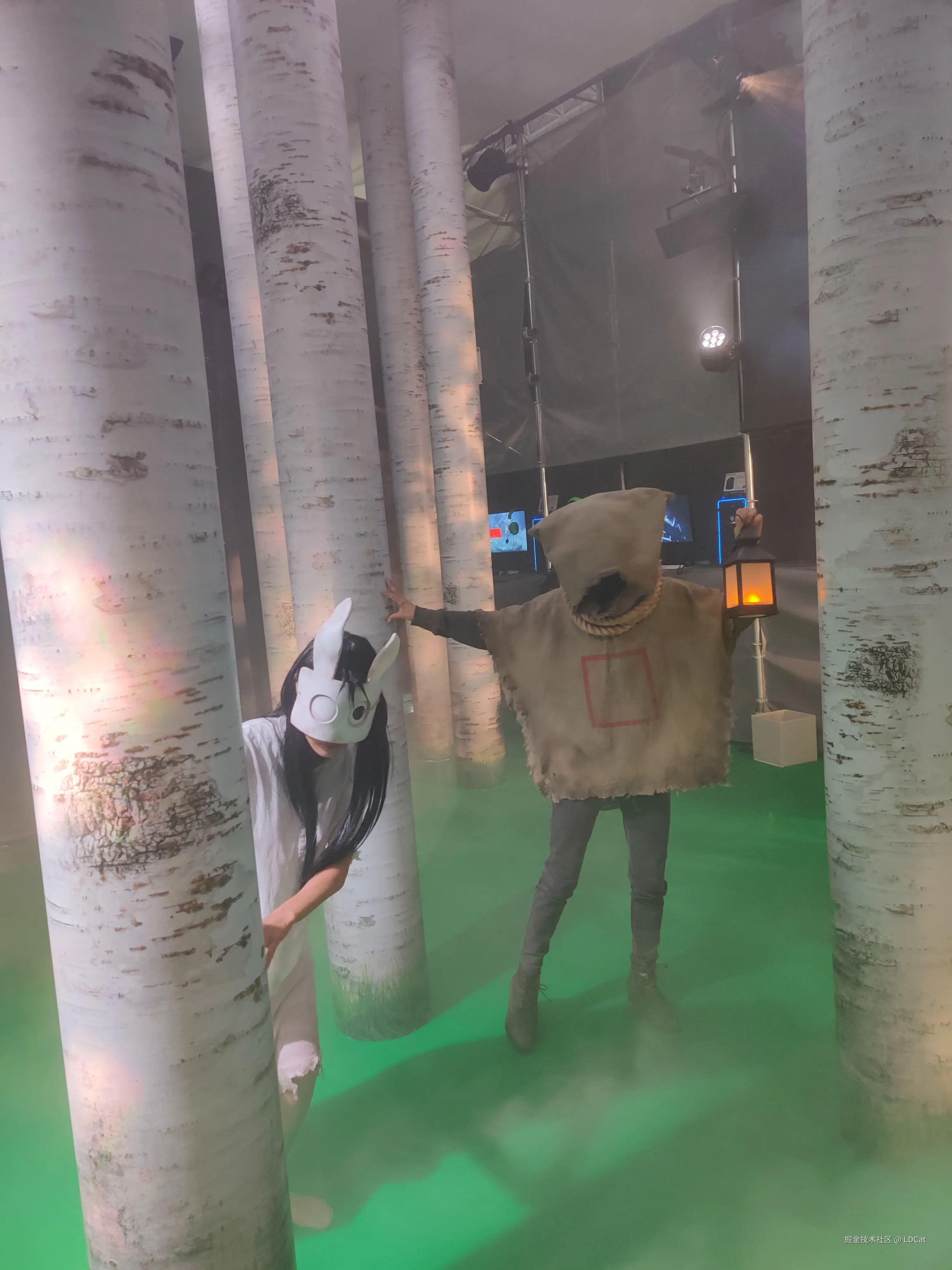 LDCat于2024-09-29 07:22发布的图片