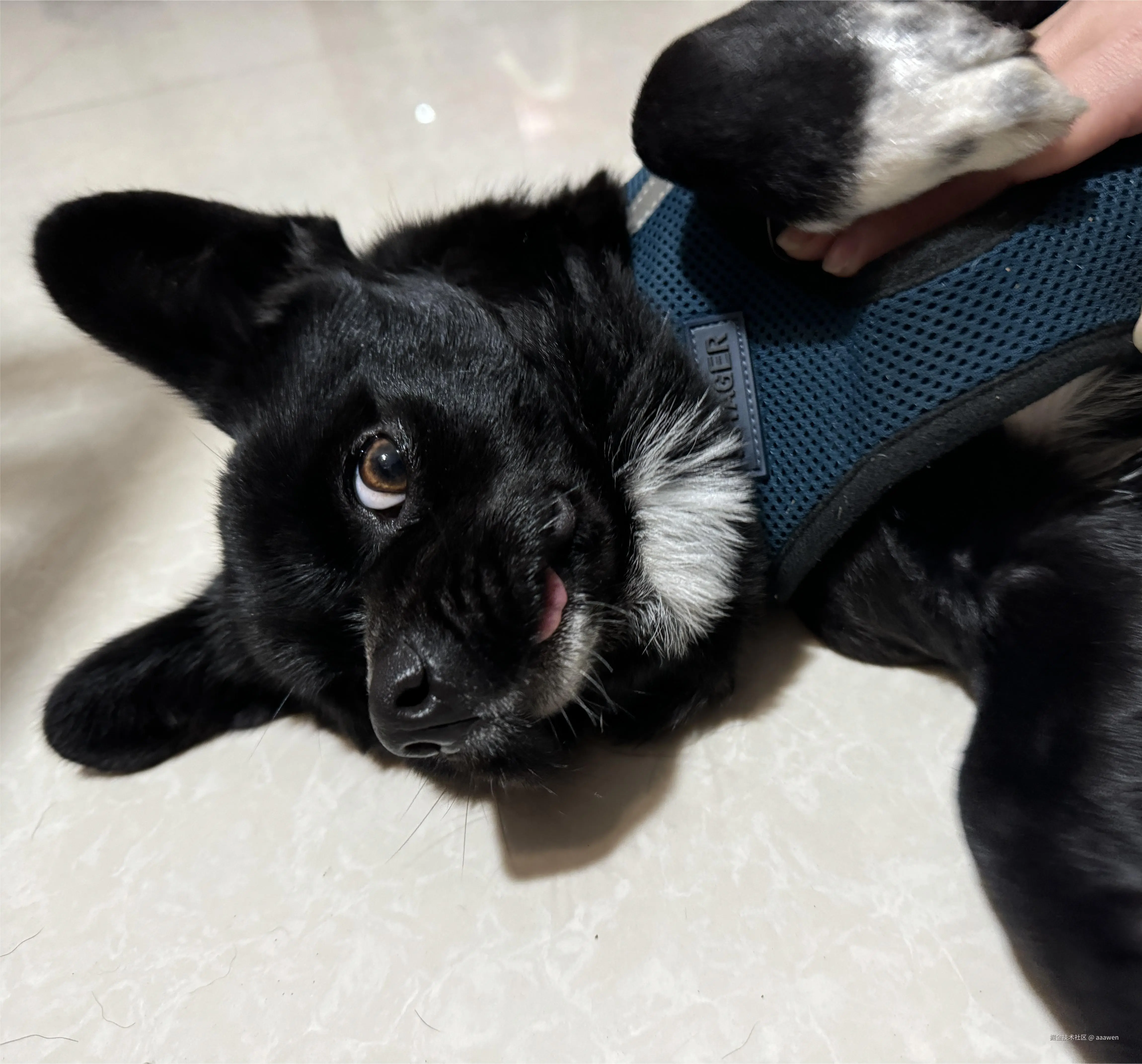 aaawen于2025-02-19 06:10发布的图片