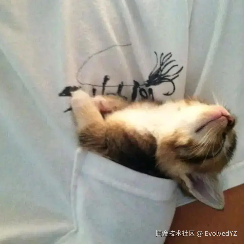 EvolvedYZ于2024-08-11 22:51发布的图片