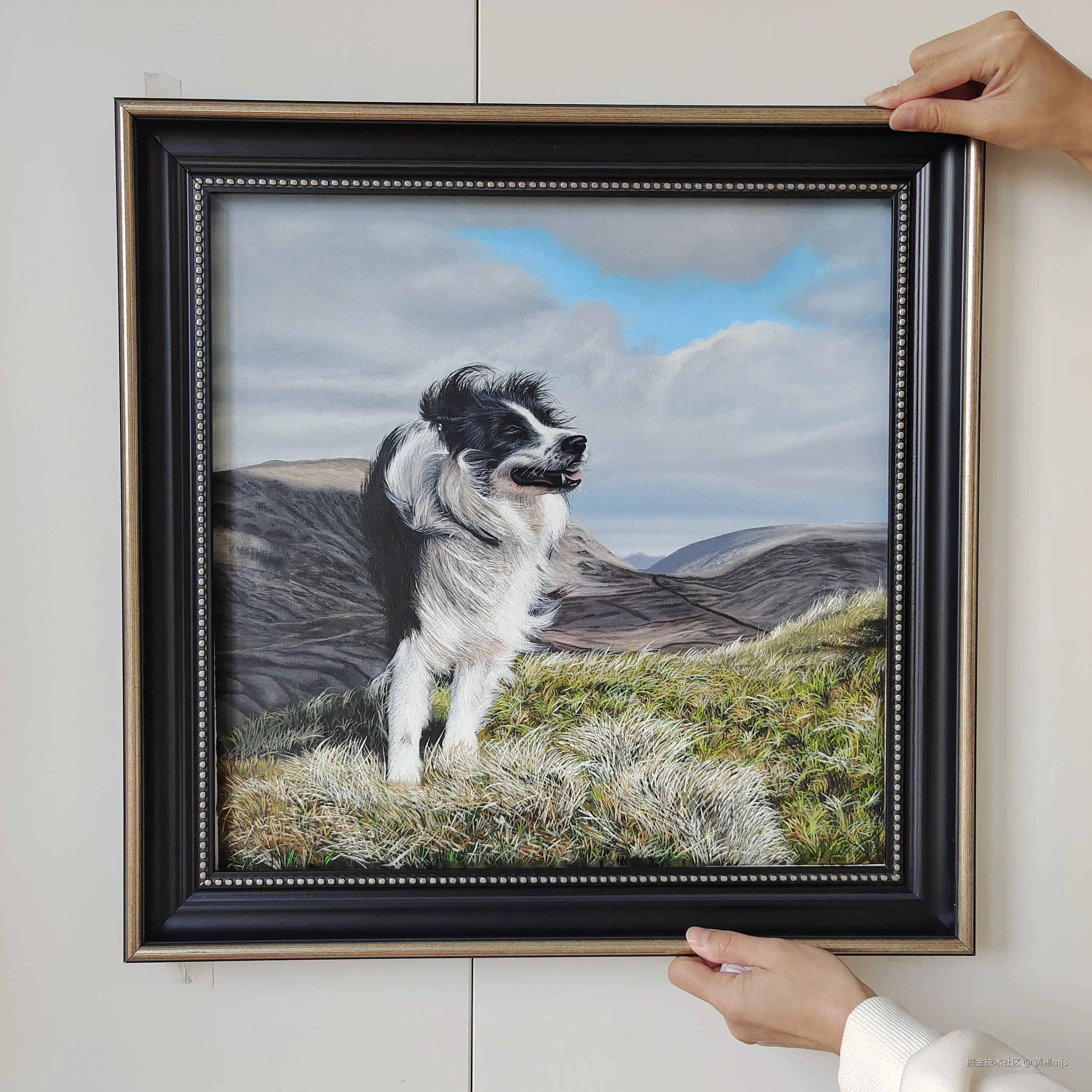 黄彬mjs于2024-11-23 15:33发布的图片