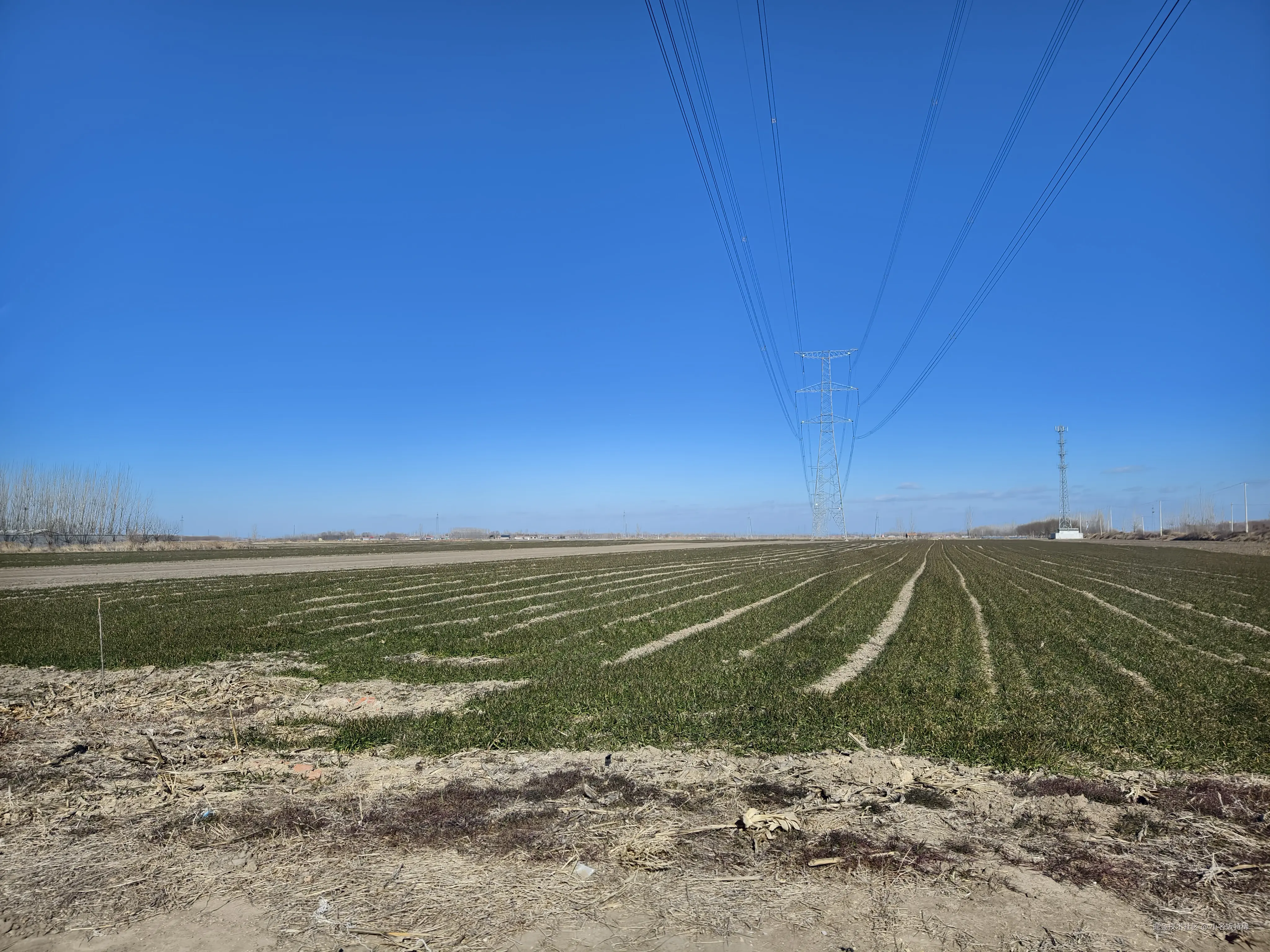 小名饭特稀于2025-02-10 17:44发布的图片