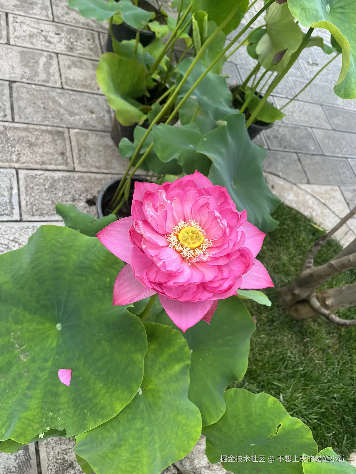 不想上班的蜡笔小新于2025-07-14 09:19发布的图片