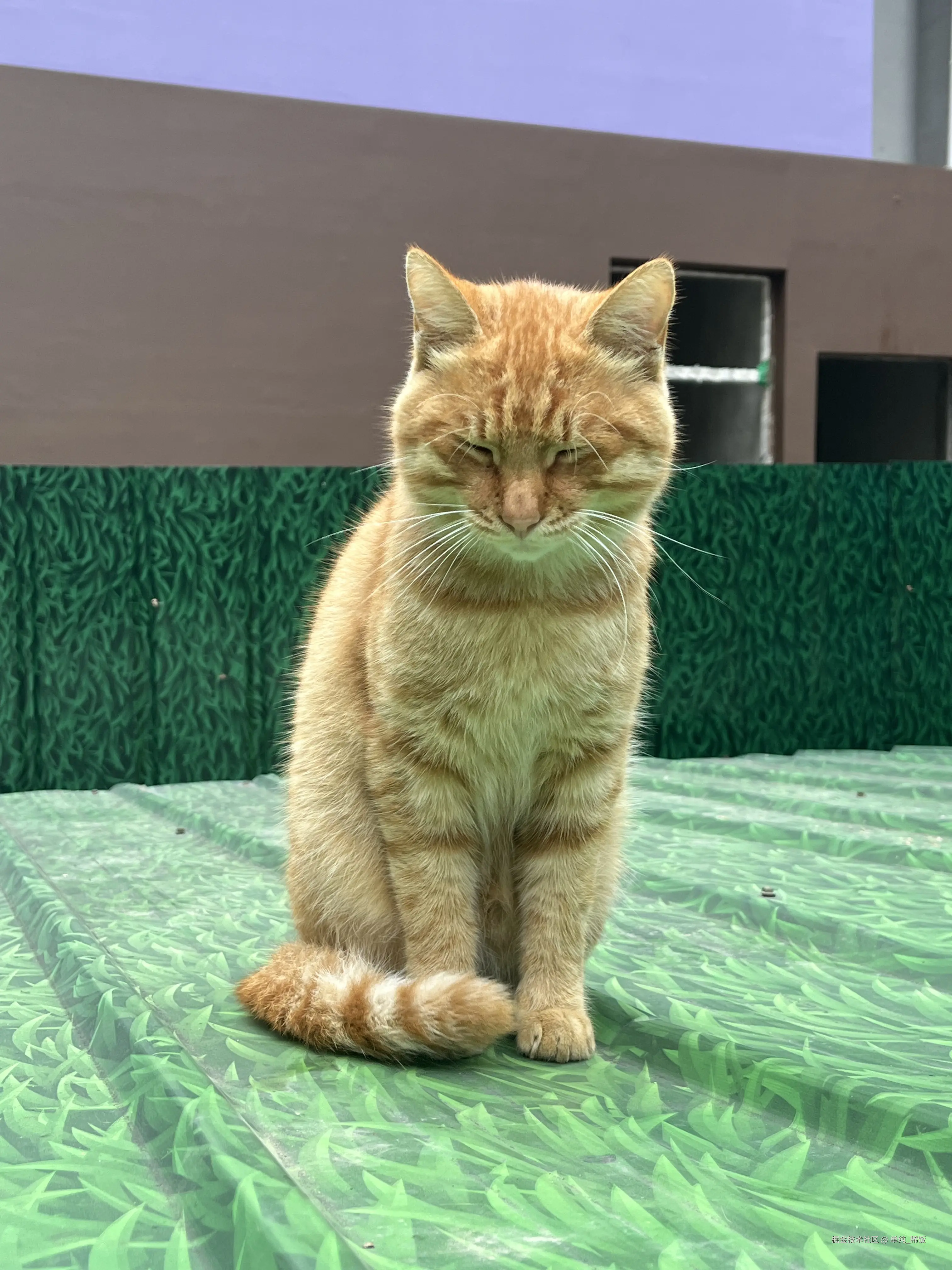 单纯_稀饭于2025-10-11 11:50发布的图片