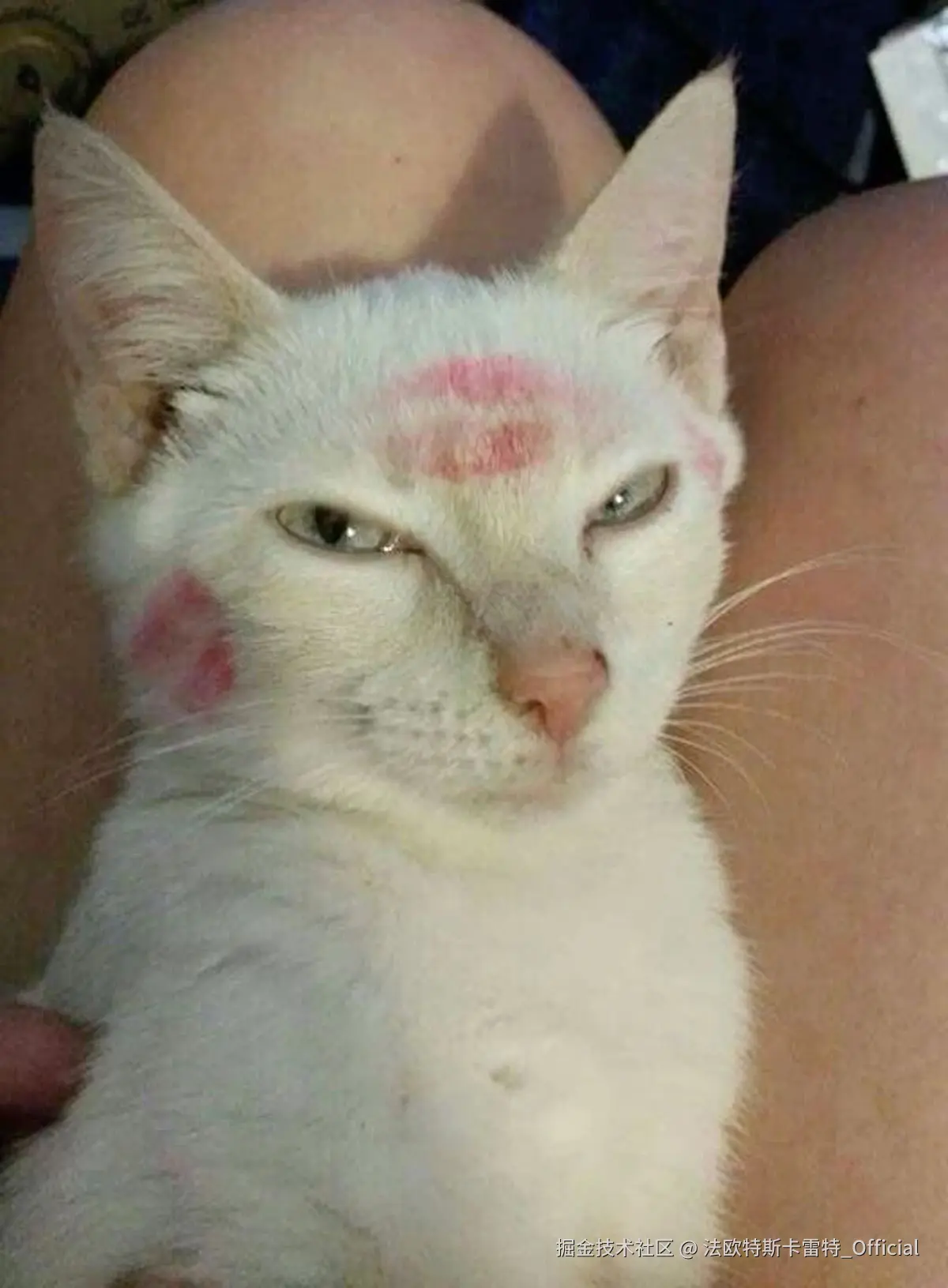 法欧特斯卡雷特_Official于2024-11-06 13:06发布的图片