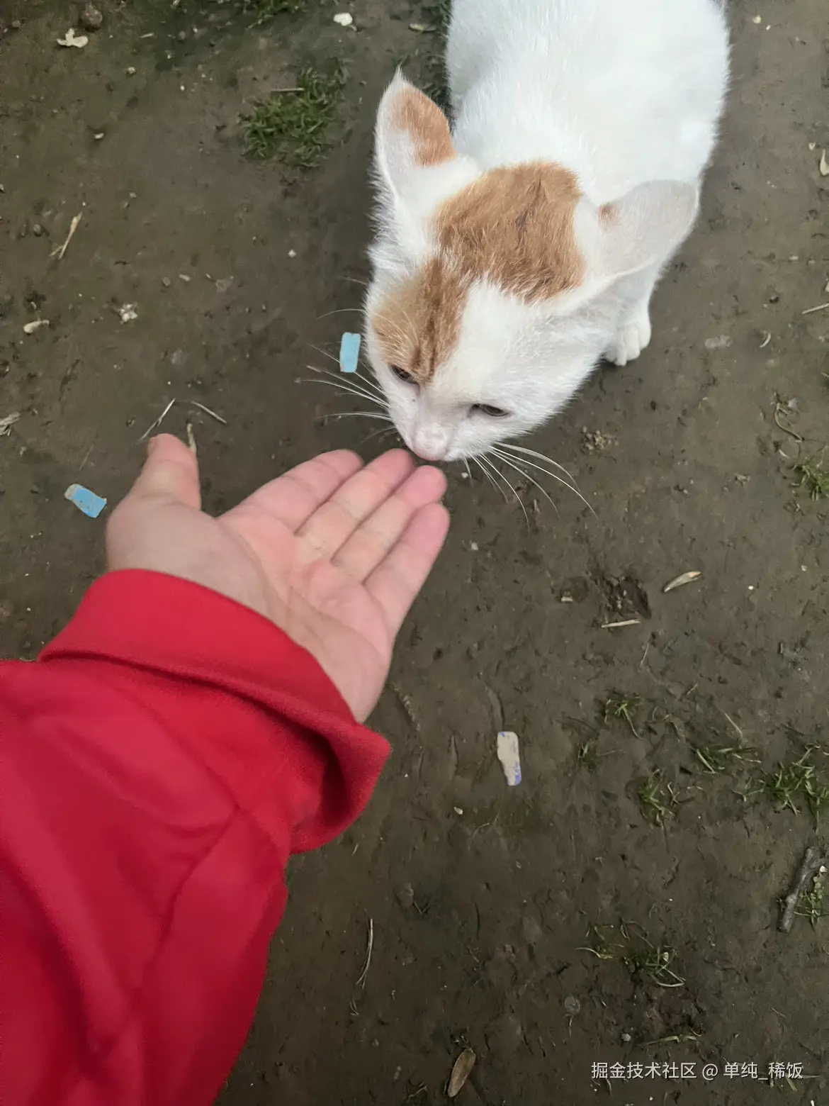 单纯_稀饭于2025-10-28 16:29发布的图片