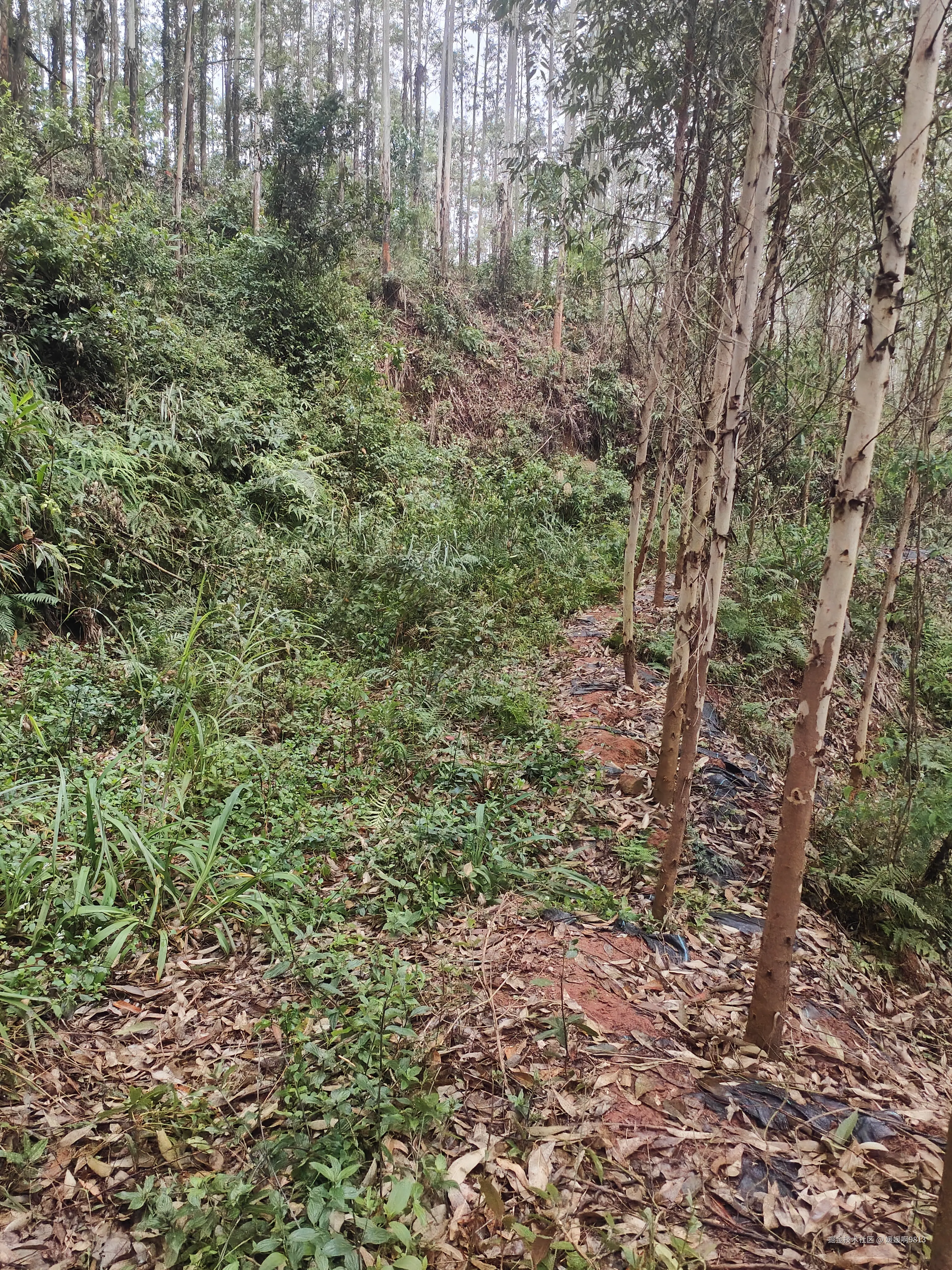 媛媛啊9813于2026-01-24 19:39发布的图片