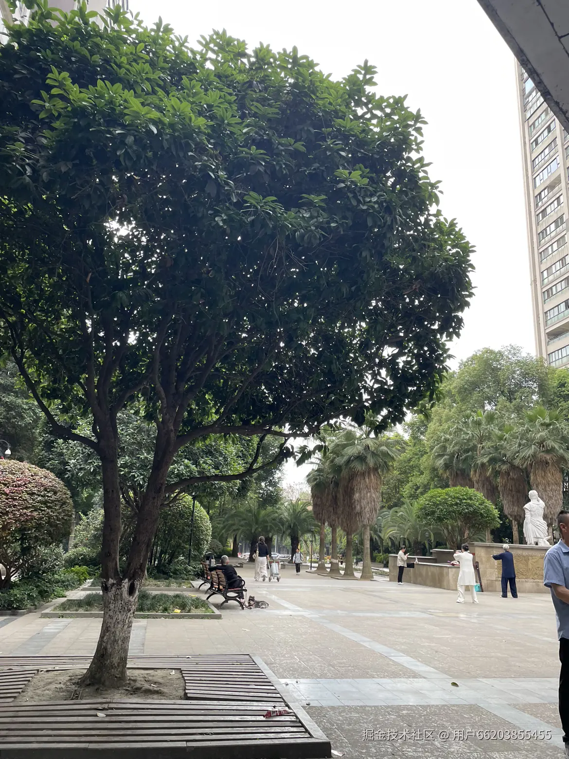 用户66203855455于2026-05-10 07:44发布的图片