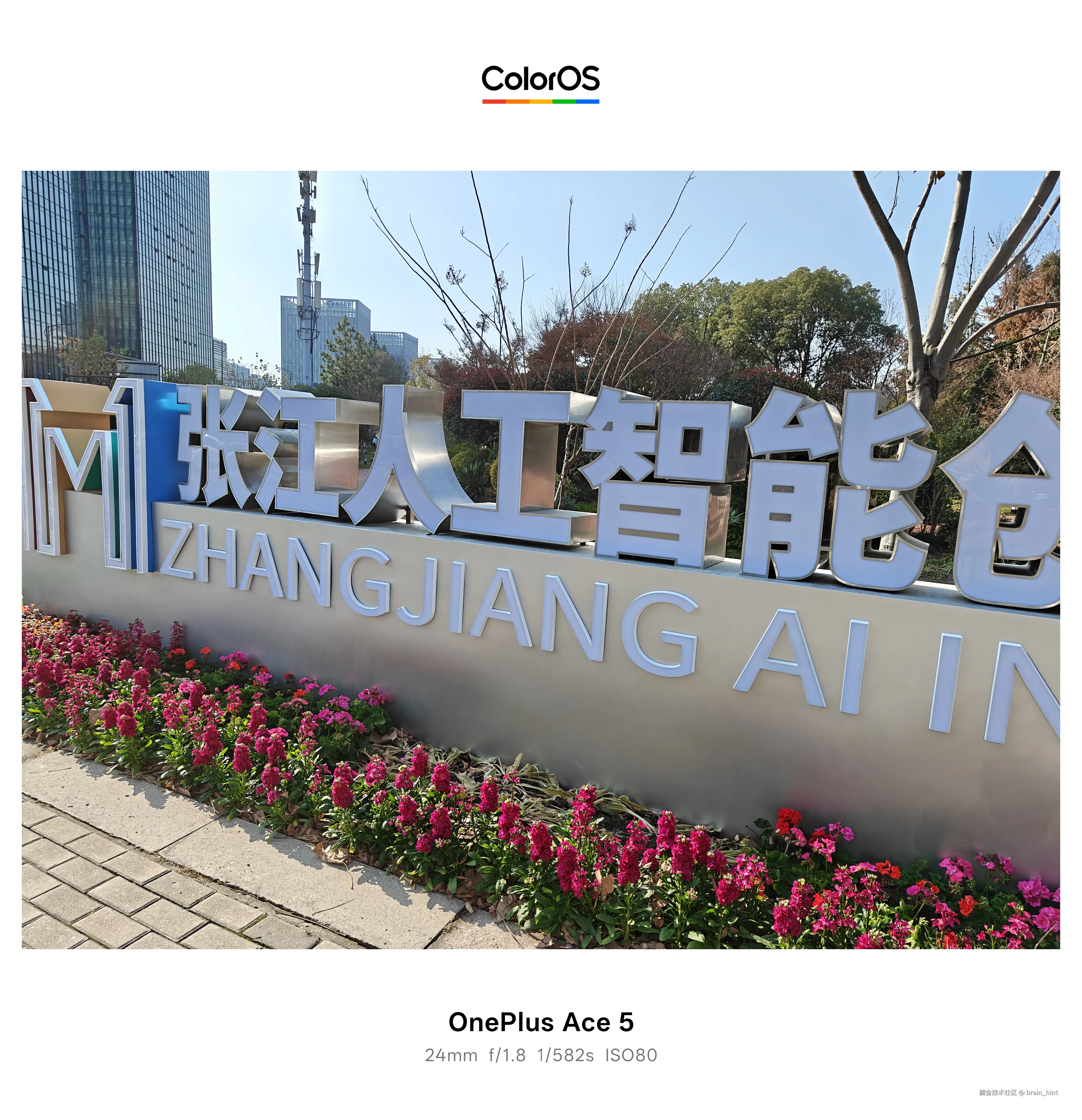 brain_hint于2025-12-19 12:52发布的图片