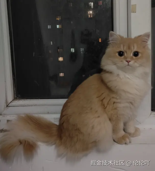 伦伦吖于2024-11-28 02:04发布的图片