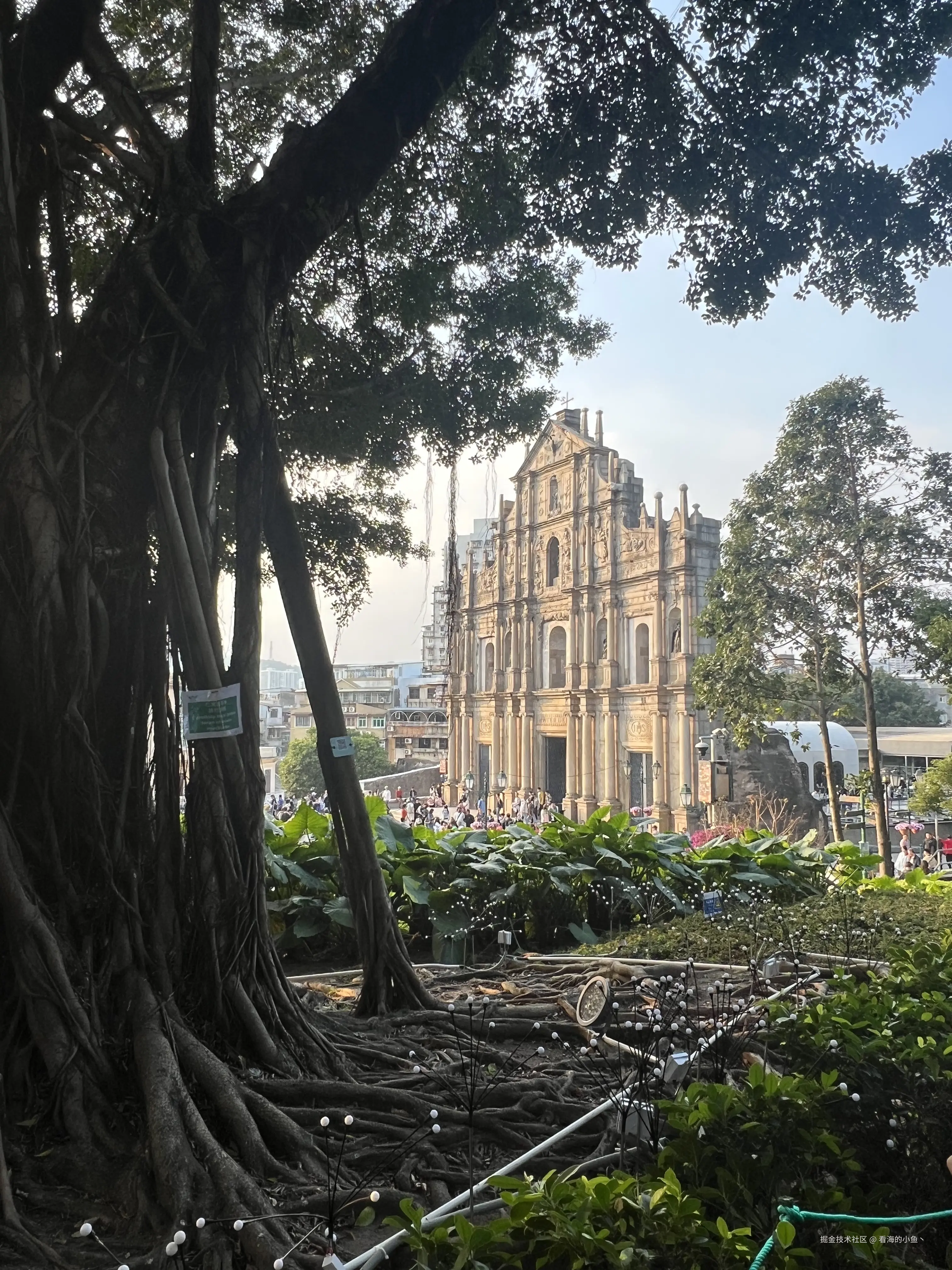 看海的小鱼丶于2026-01-04 09:52发布的图片