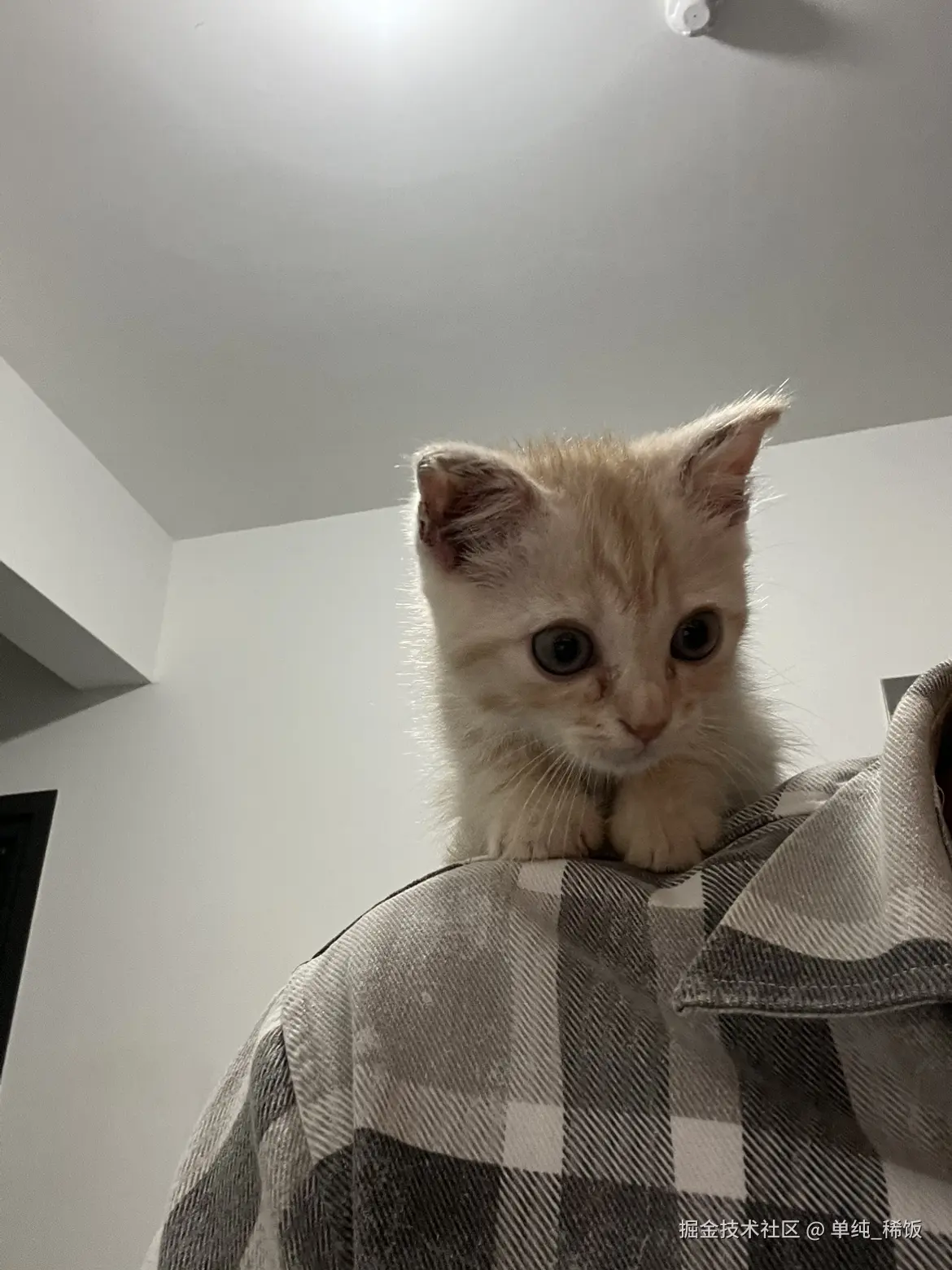 单纯_稀饭于2025-03-06 07:11发布的图片