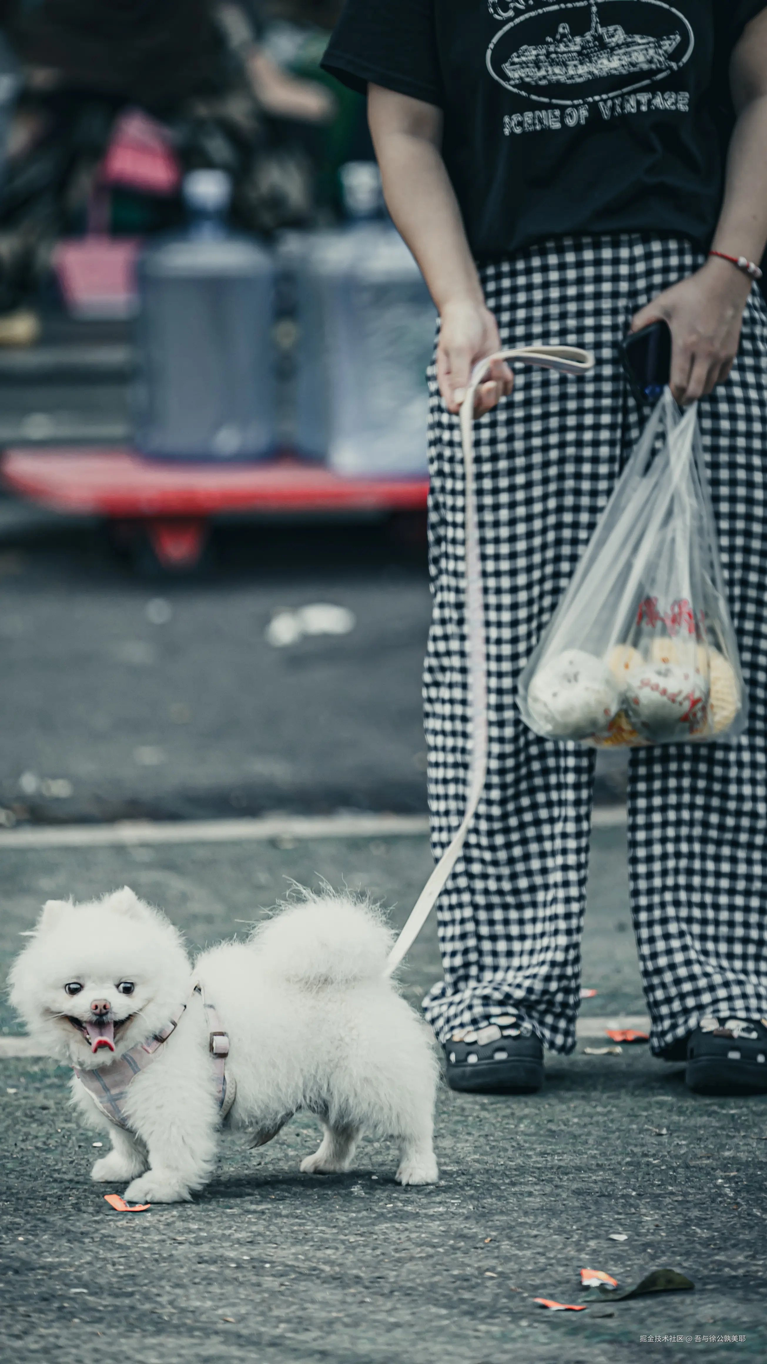 吾与徐公孰美耶于2024-09-14 10:20发布的图片