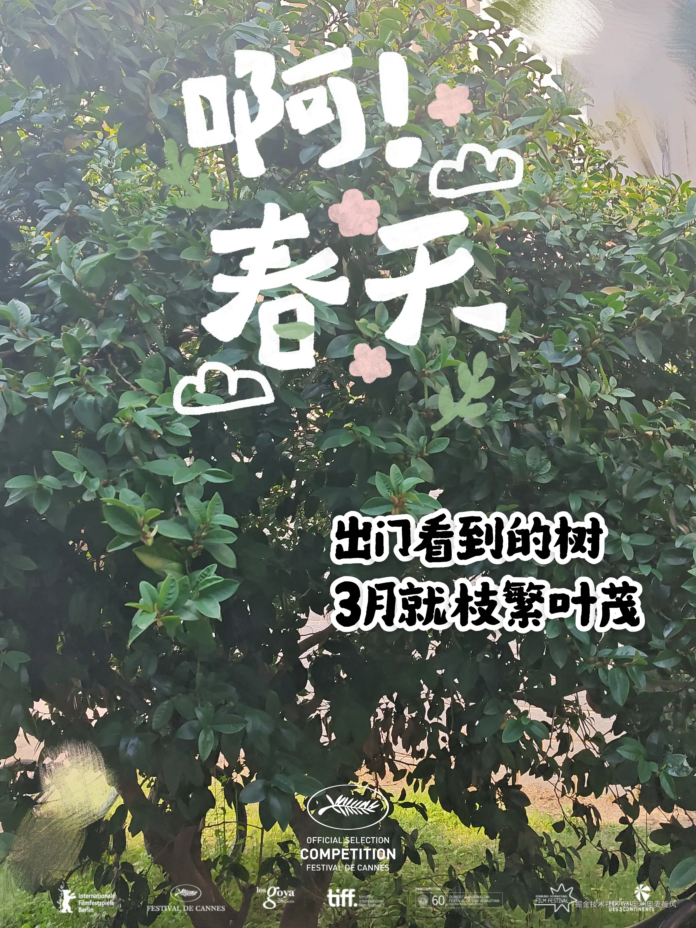 奥利奥麦旋风于2025-04-08 19:18发布的图片