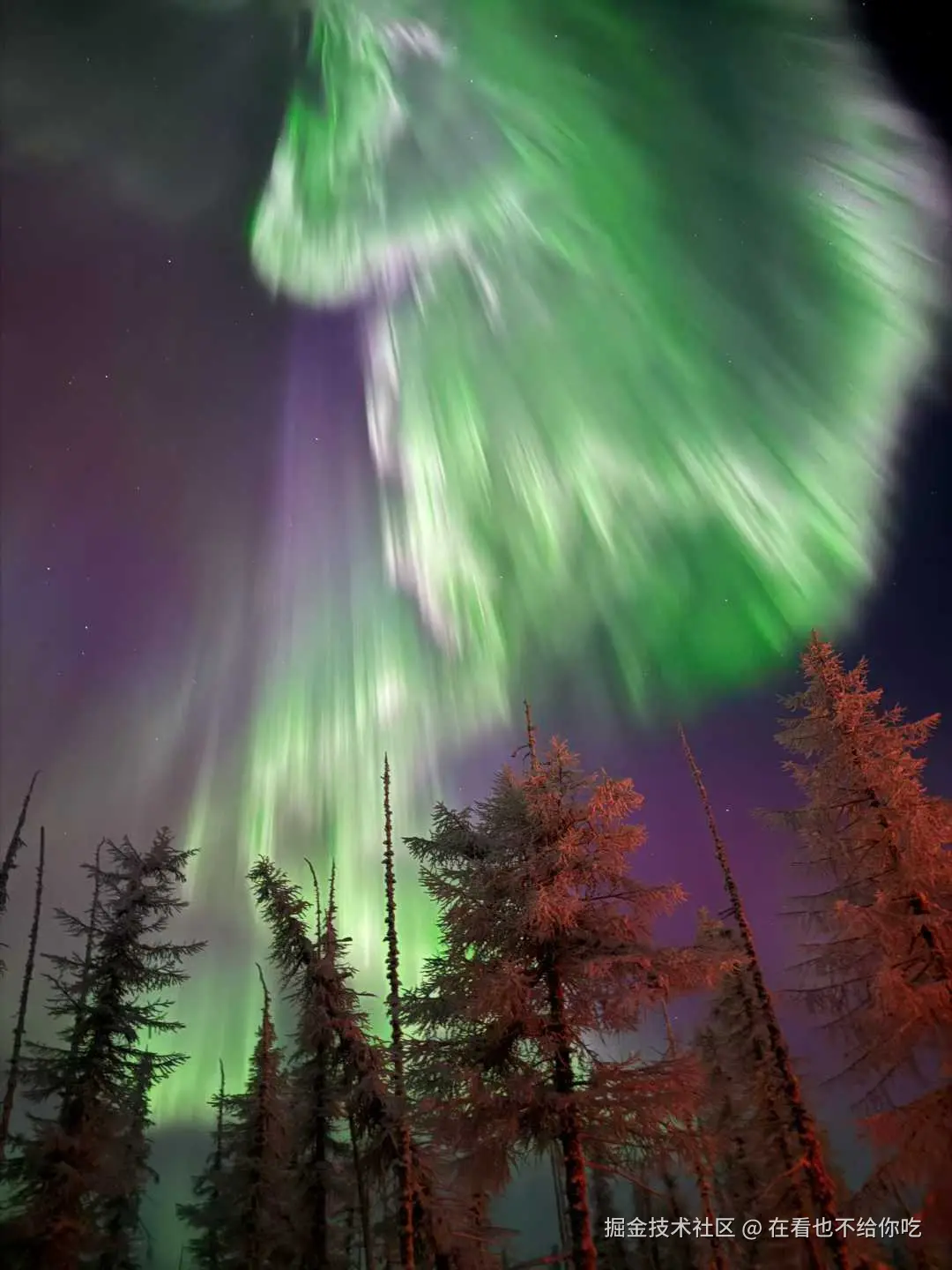 在看也不给你吃于2026-01-22 13:41发布的图片