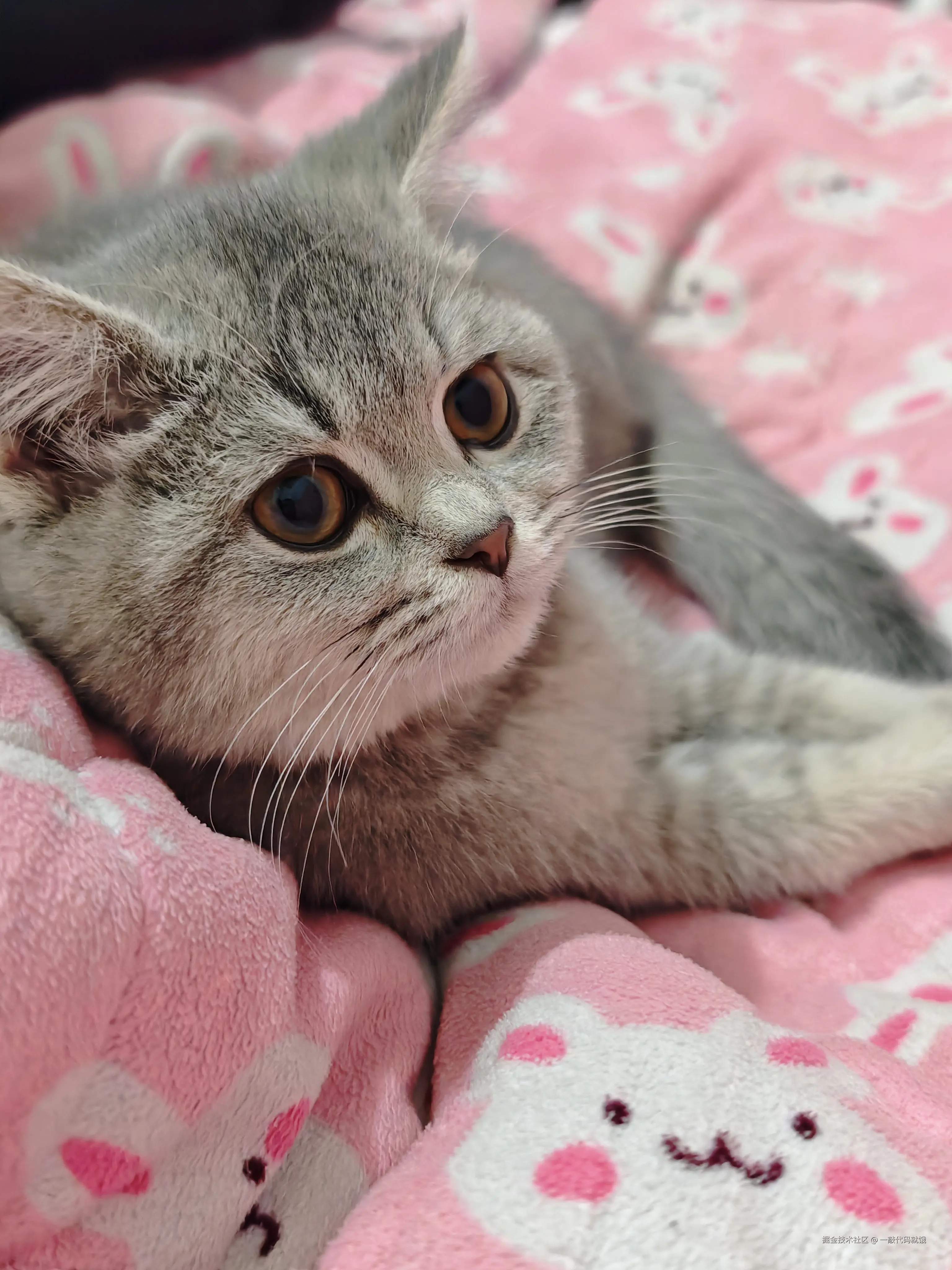 一敲代码就饿于2025-02-06 09:55发布的图片