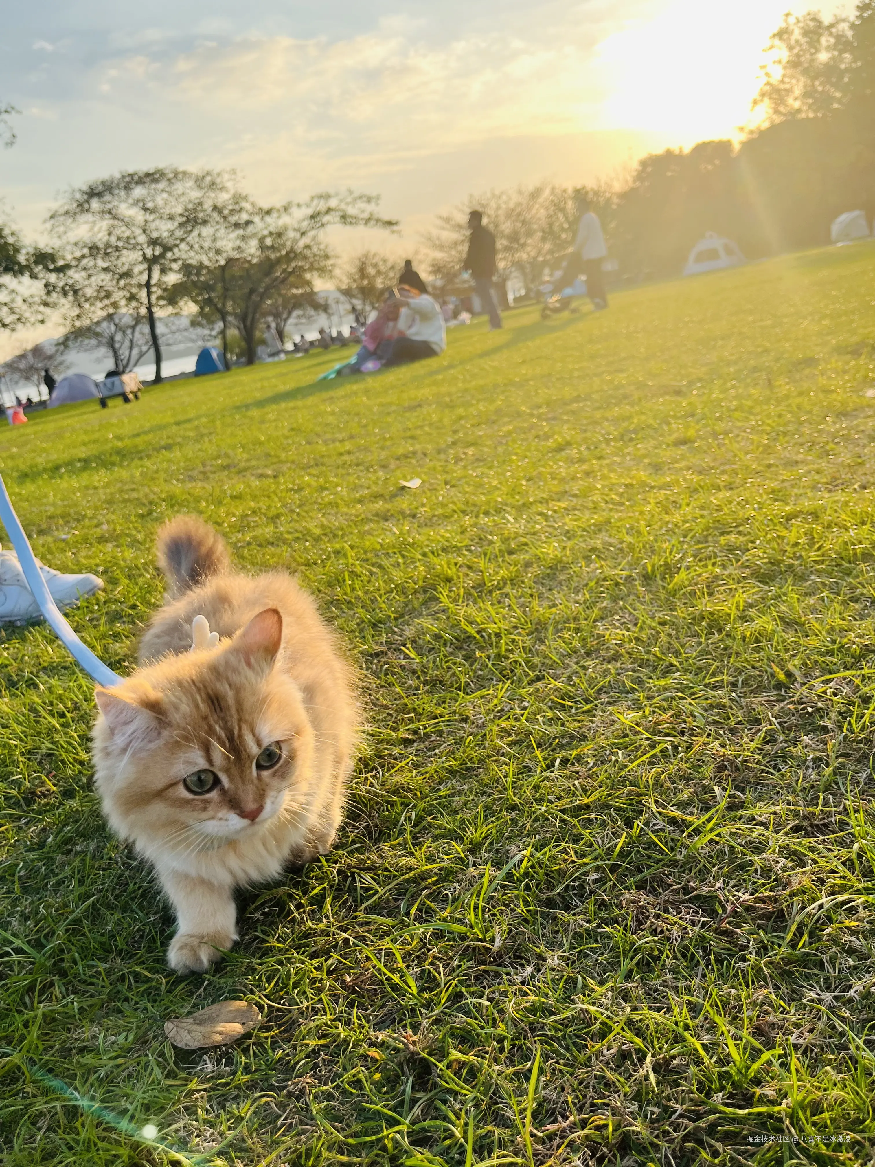 八喜不是冰激凌于2024-11-26 13:42发布的图片