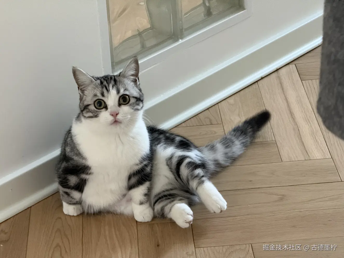 古德墨柠于2026-02-06 16:48发布的图片