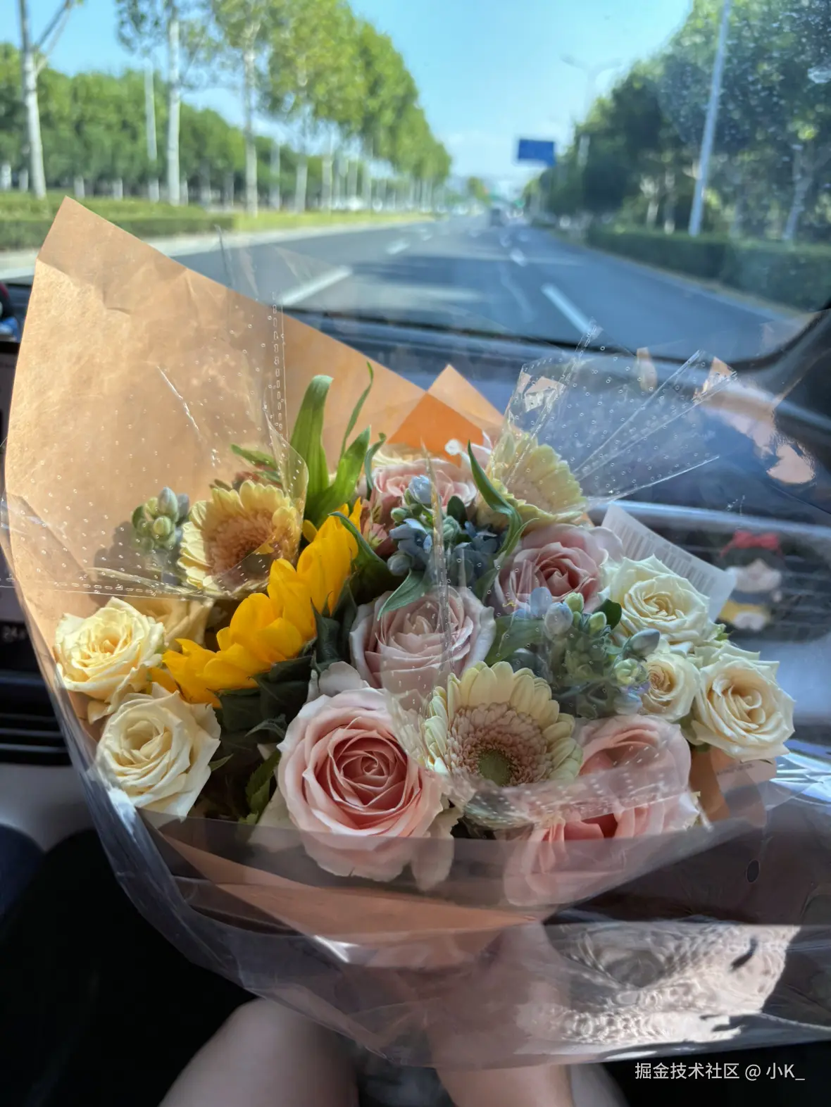 小K_于2024-08-24 14:53发布的图片