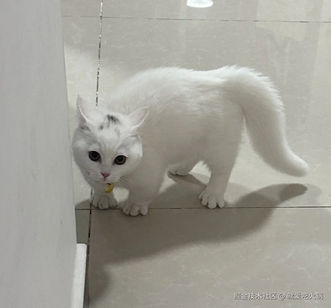 就爱吃火锅于2025-04-15 09:51发布的图片