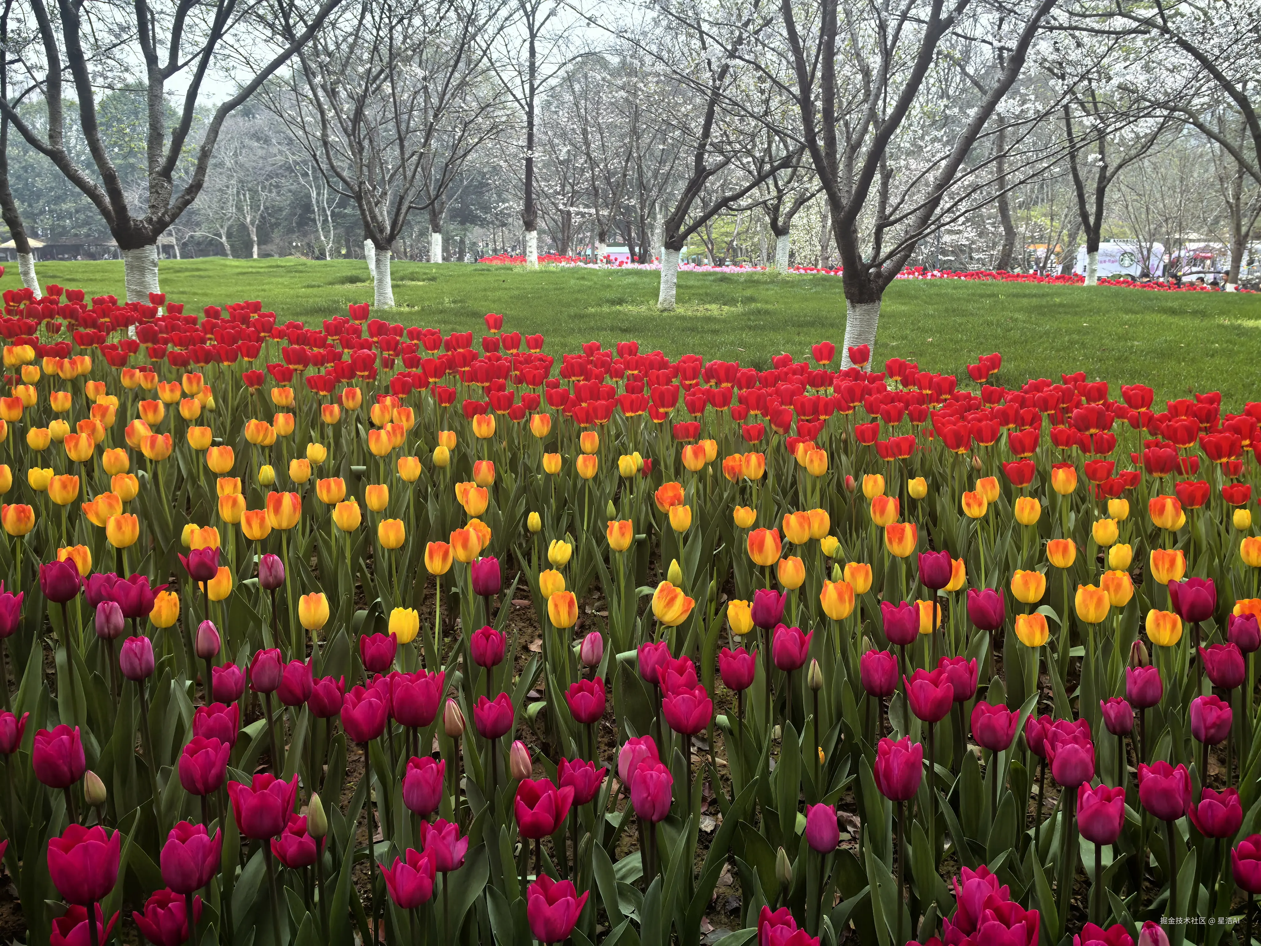 星浩AI于2026-03-22 12:00发布的图片