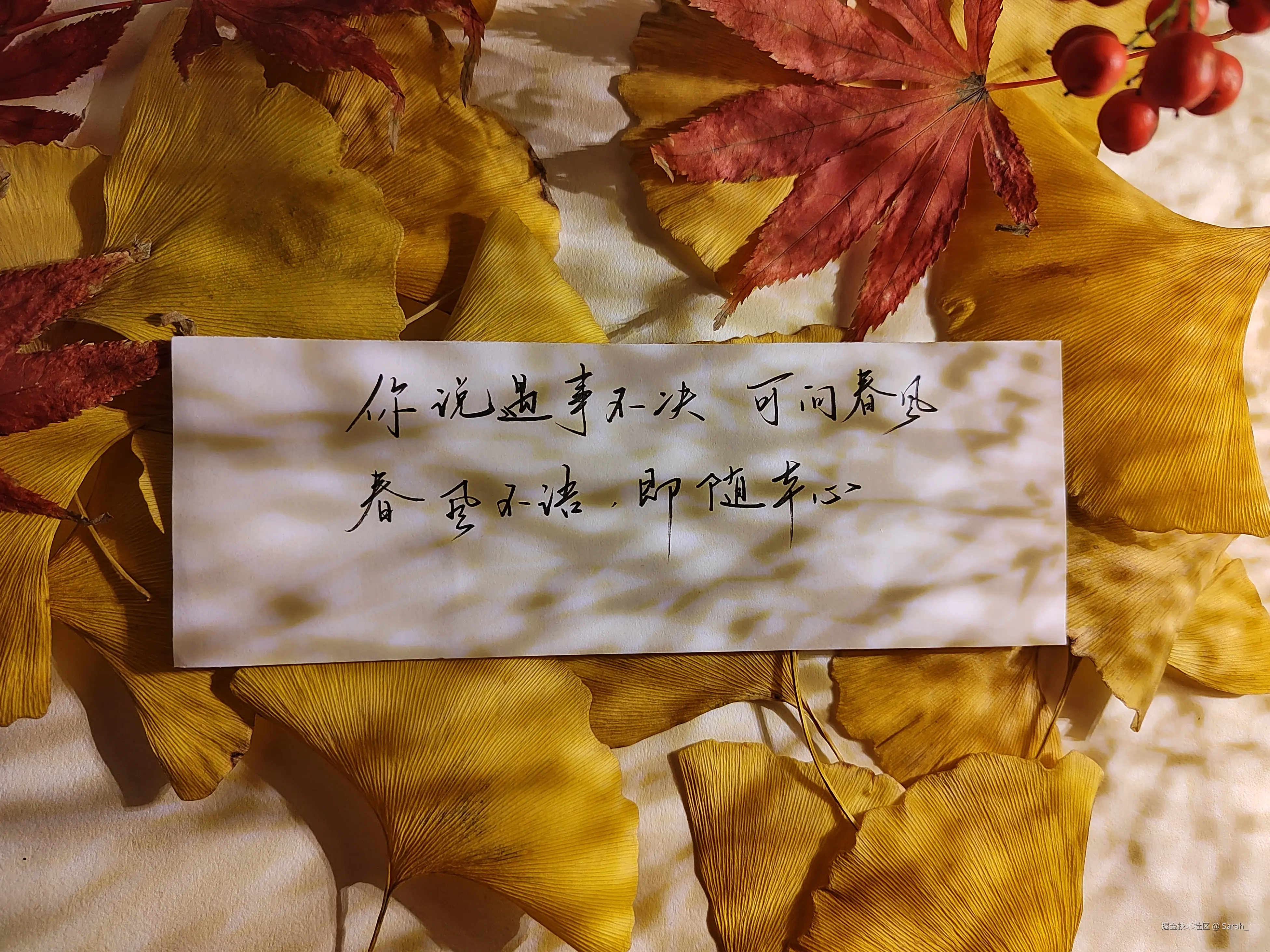 Sarah_于2024-12-25 08:13发布的图片