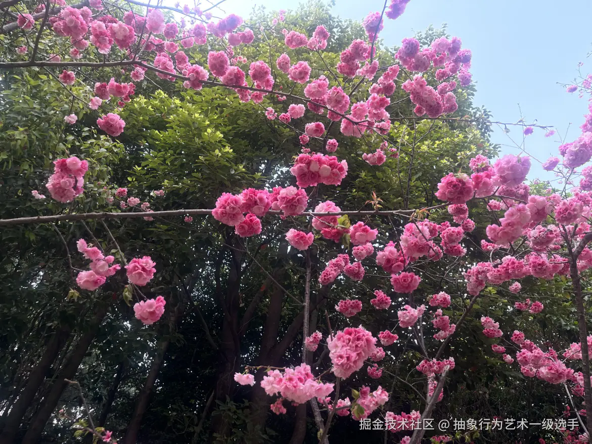 抽象行为艺术一级选手于2026-03-09 09:42发布的图片