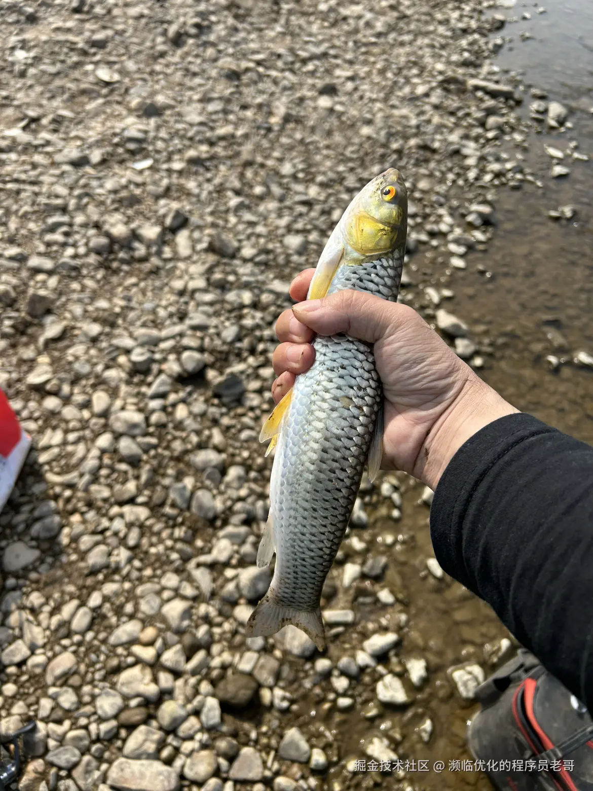 濒临优化的程序员老哥于2024-11-06 09:27发布的图片