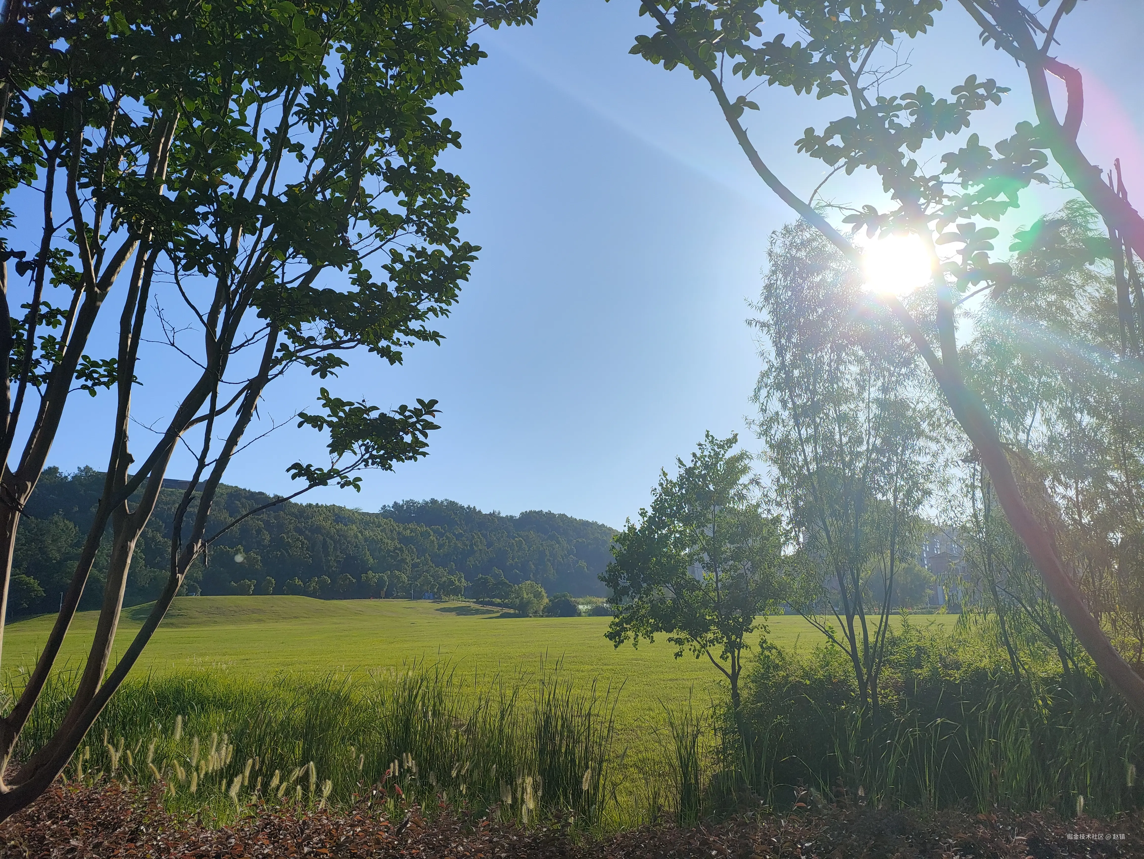 赵镇于2024-07-26 10:55发布的图片