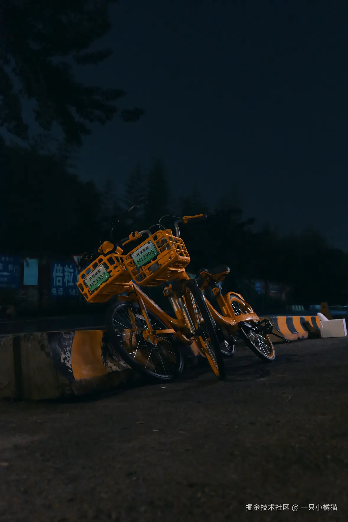 一只小橘猫于2026-07-19 16:40发布的图片