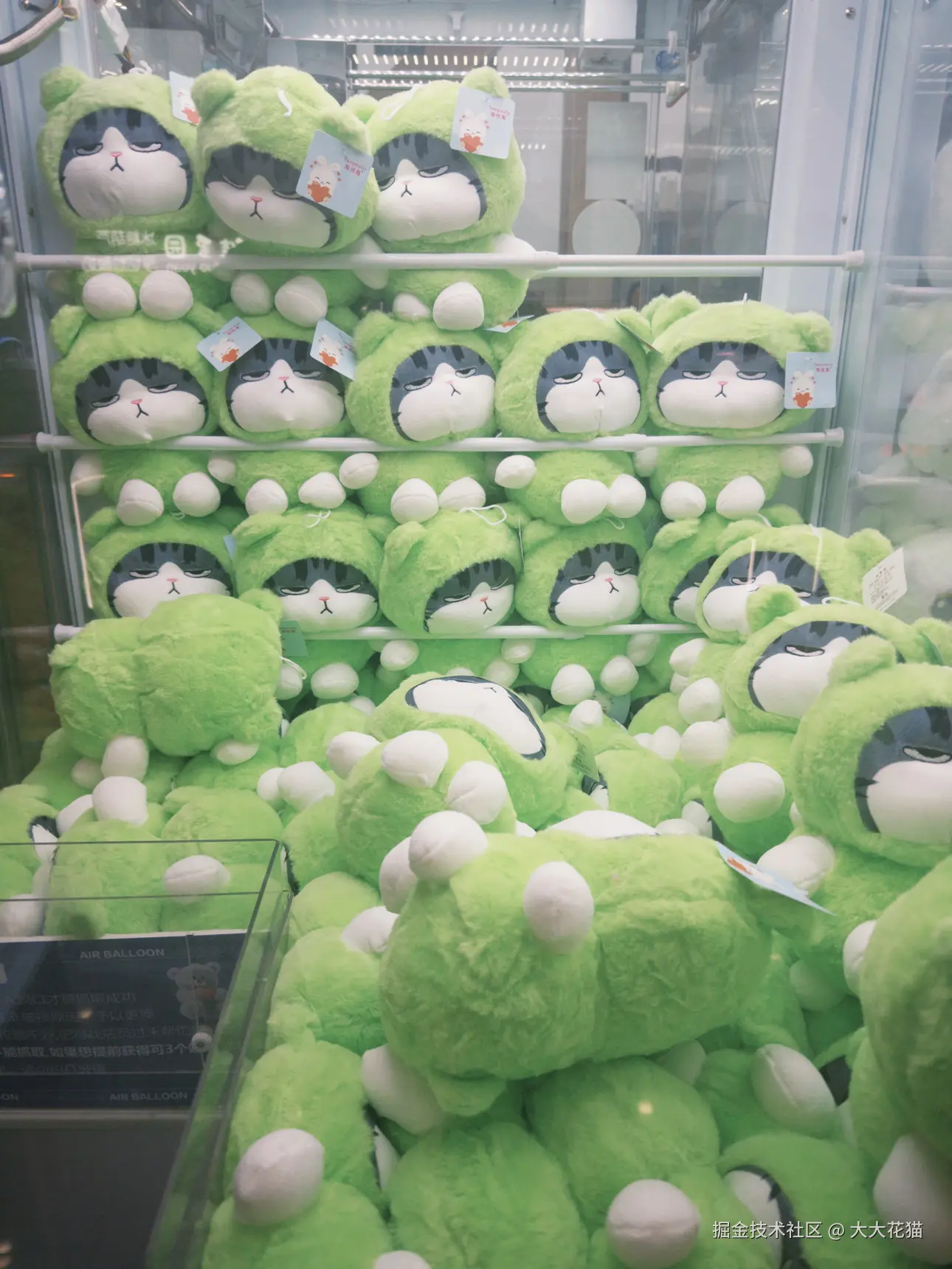 大大花猫于2025-03-05 12:21发布的图片