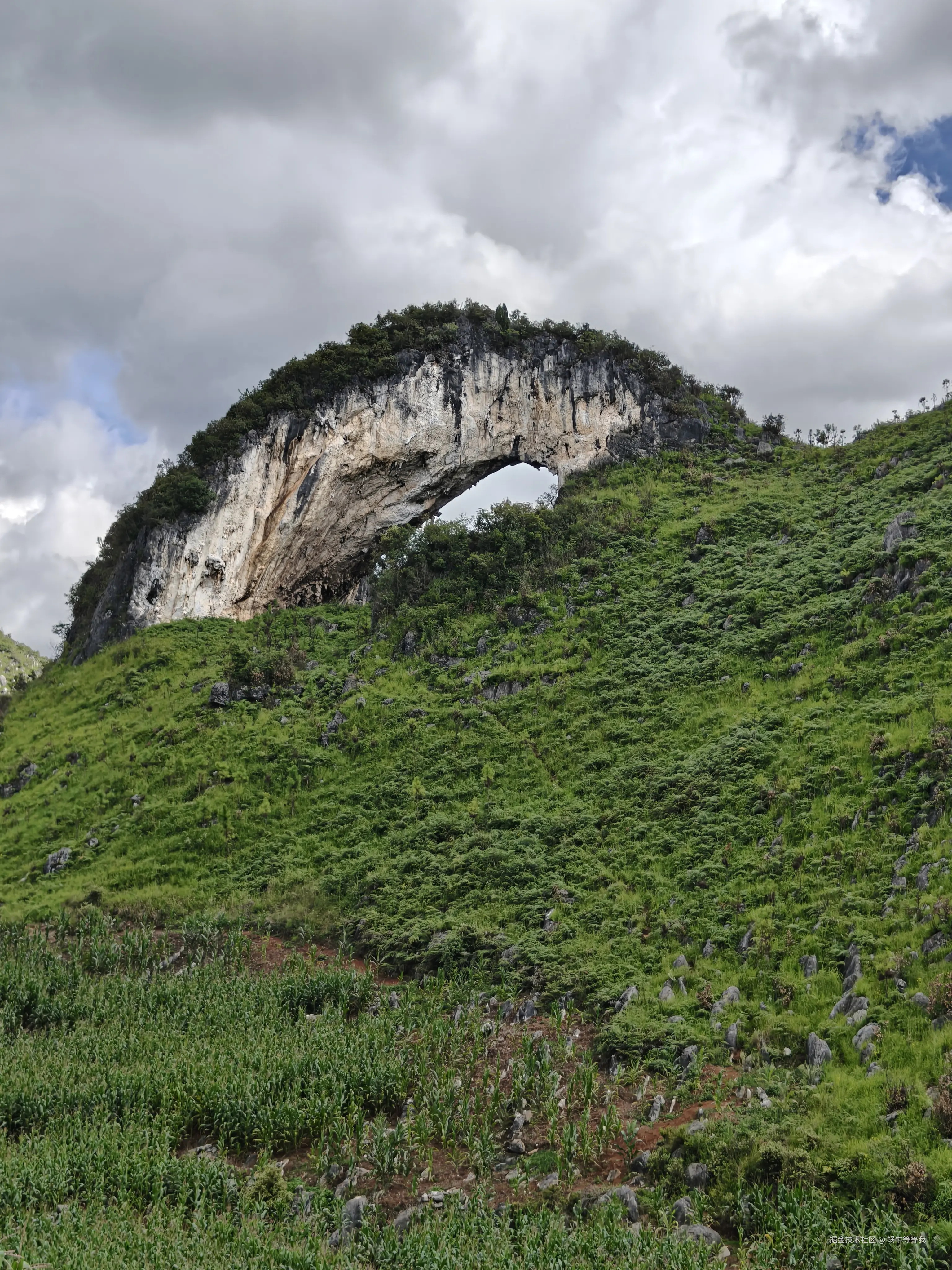 蜗牛等等我于2025-08-25 09:17发布的图片