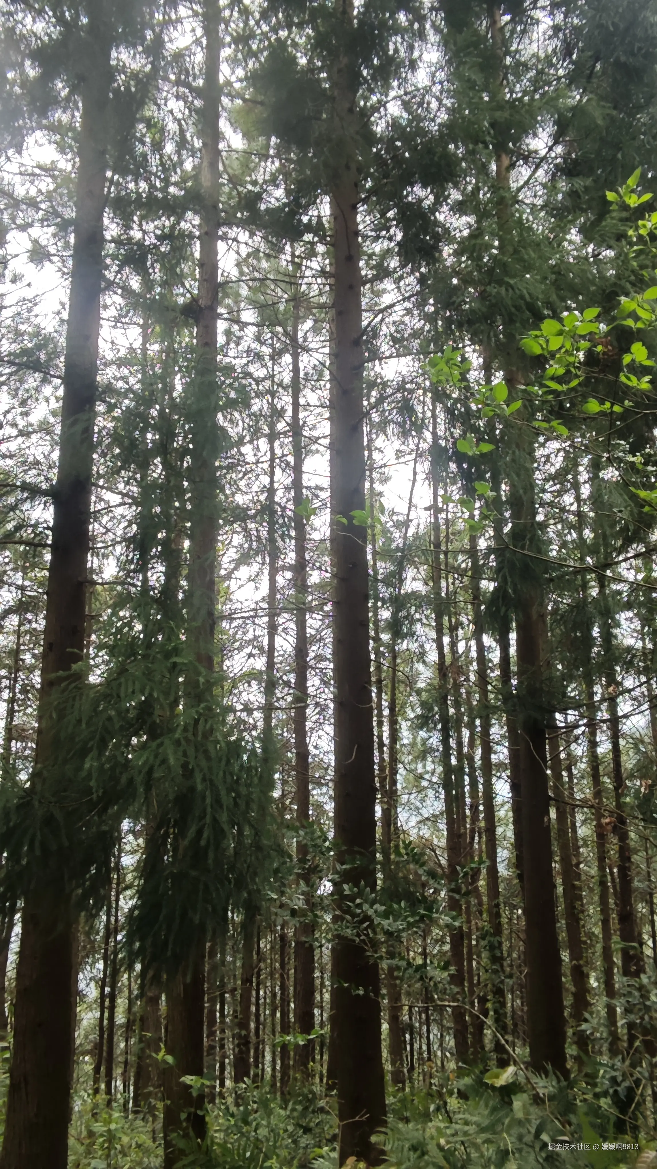 媛媛啊9813于2026-04-14 22:41发布的图片