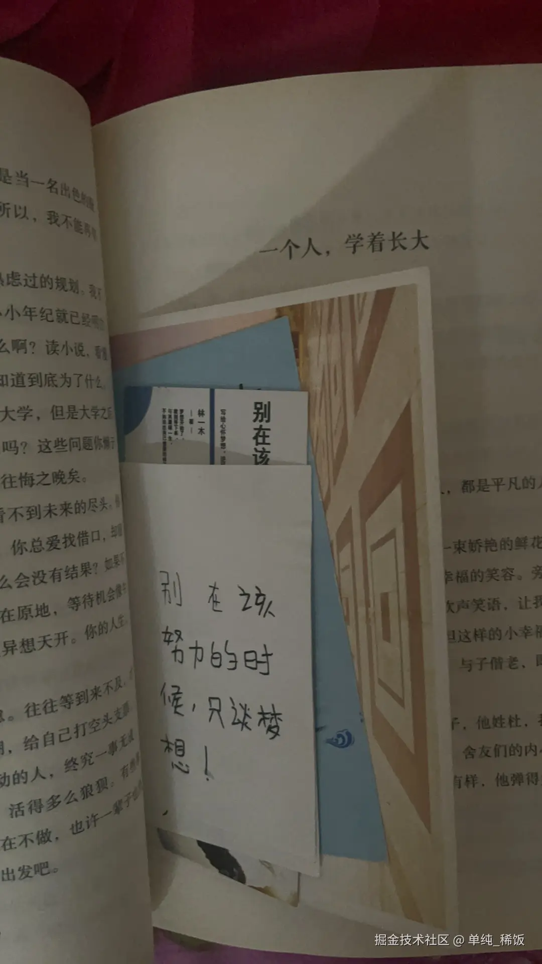 单纯_稀饭于2025-11-04 13:20发布的图片