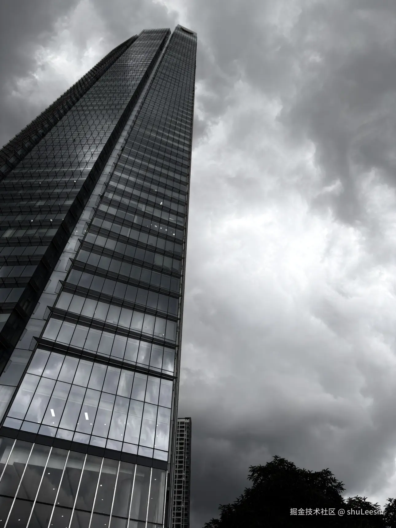 shuLeesin于2025-08-15 16:04发布的图片