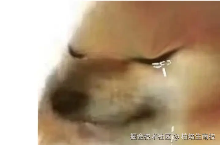 柏焰生南枝于2025-04-27 15:17发布的图片