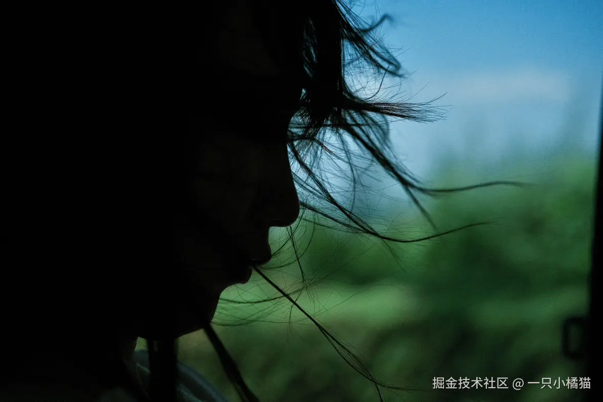 一只小橘猫于2025-08-05 10:28发布的图片