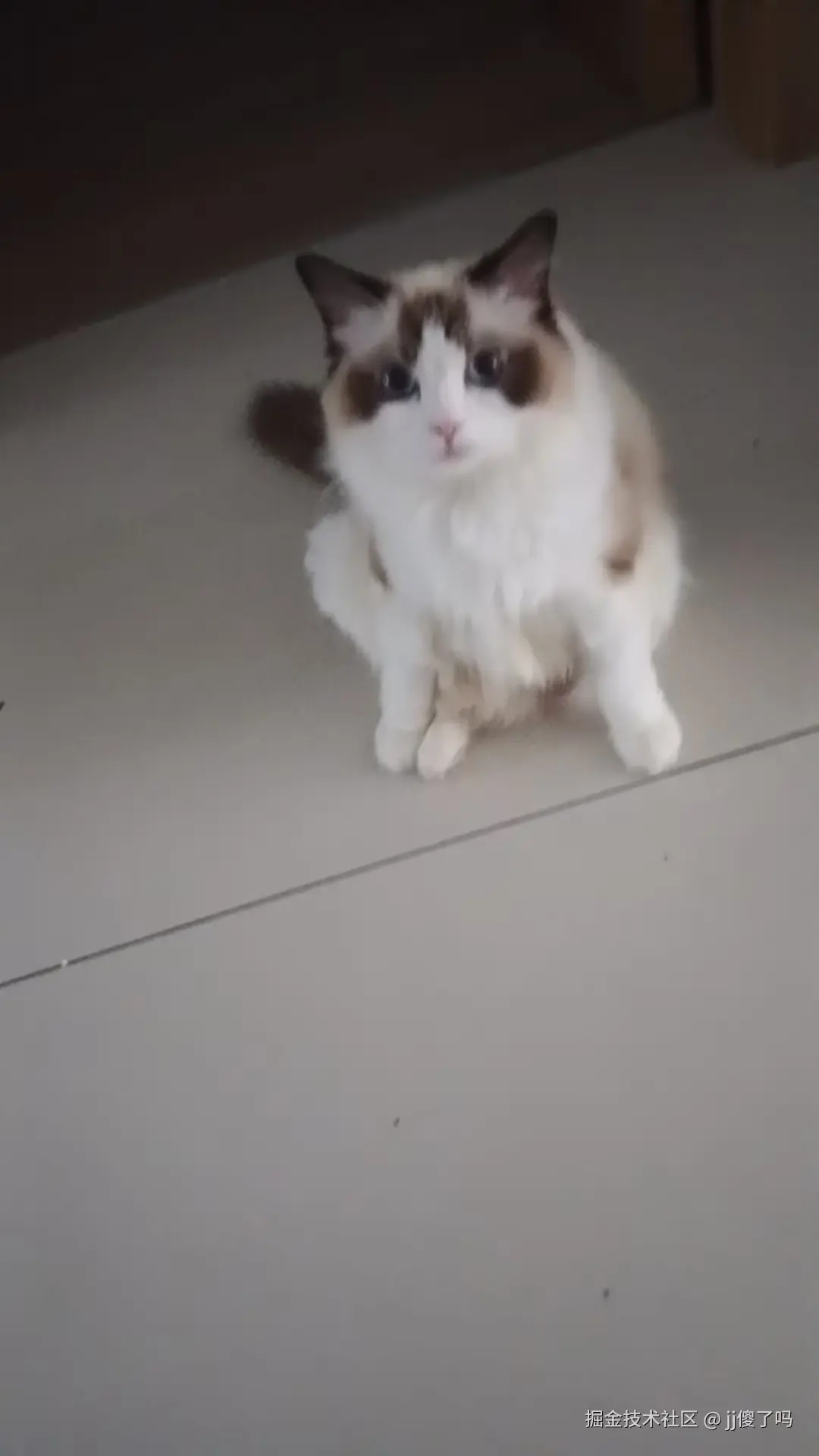 jj傻了吗于2025-06-17 11:18发布的图片