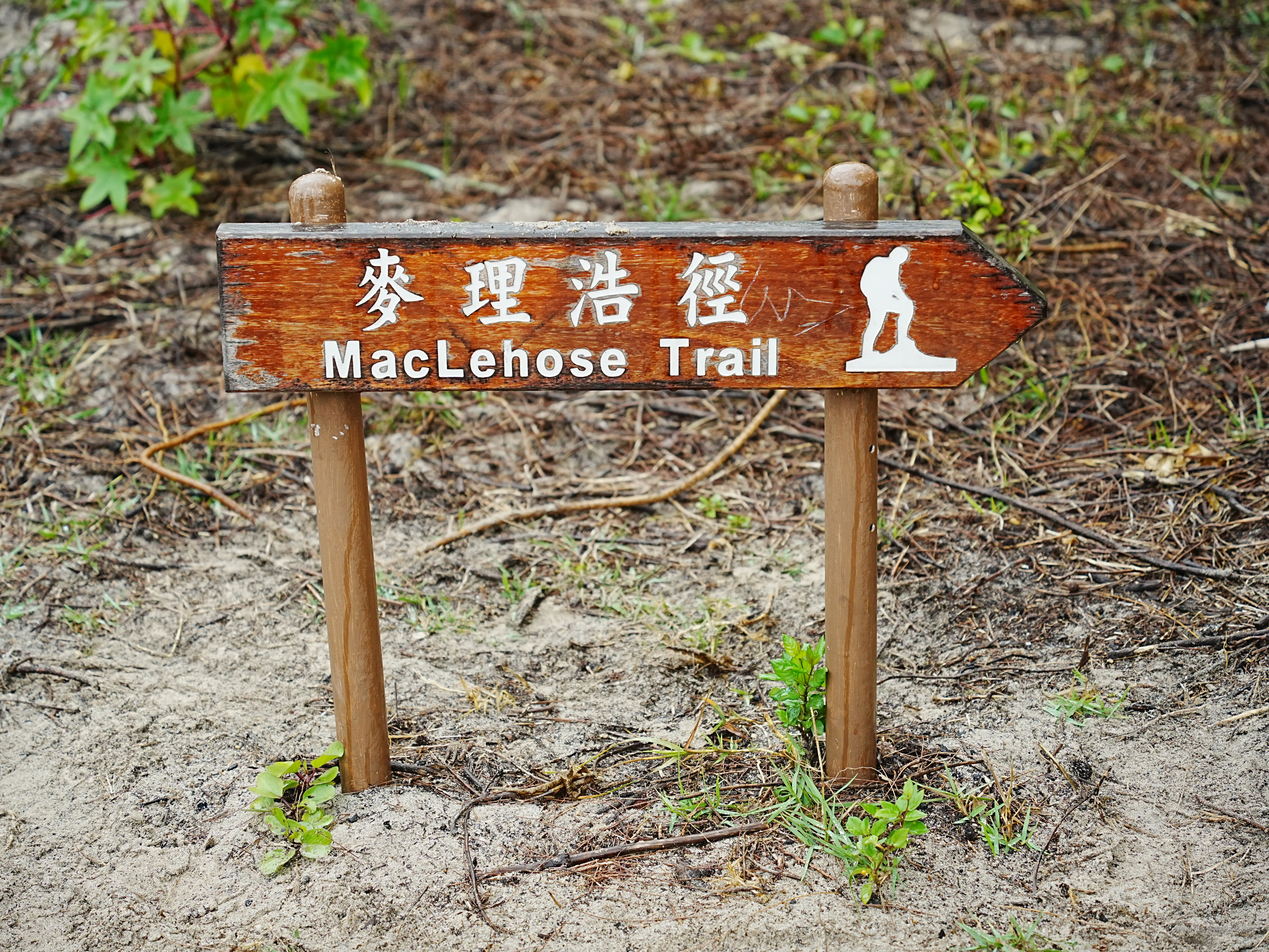 高买低卖艺术家于2025-04-08 00:41发布的图片