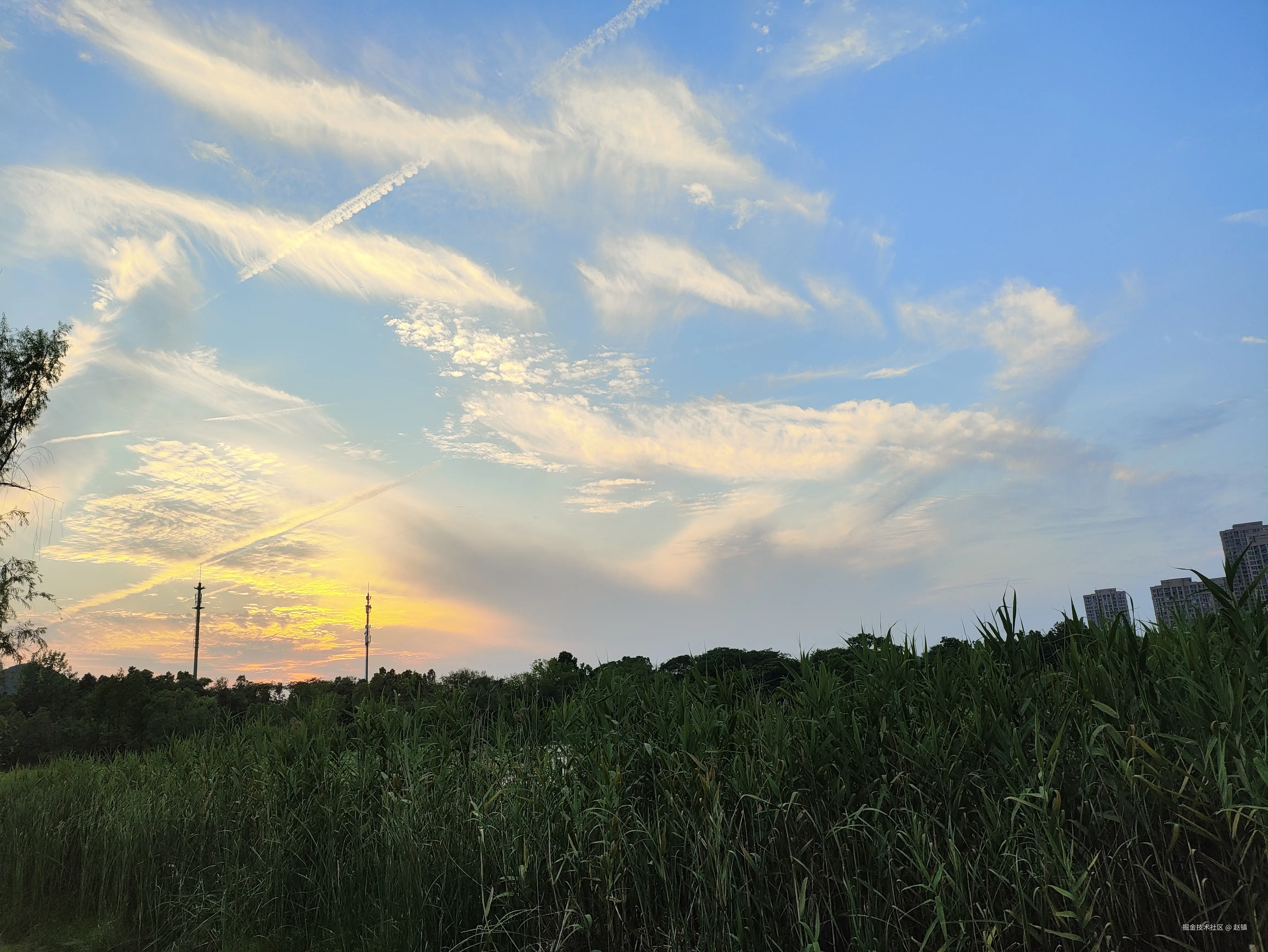 赵镇于2024-07-23 12:21发布的图片